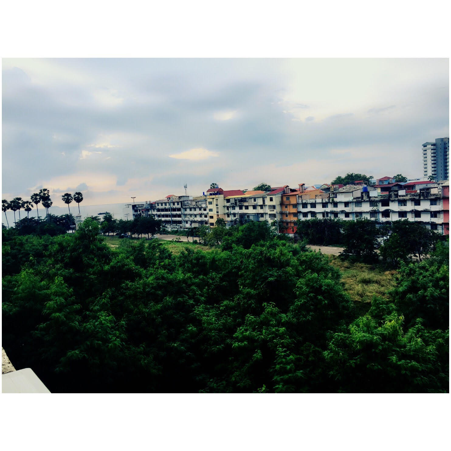 The Orient