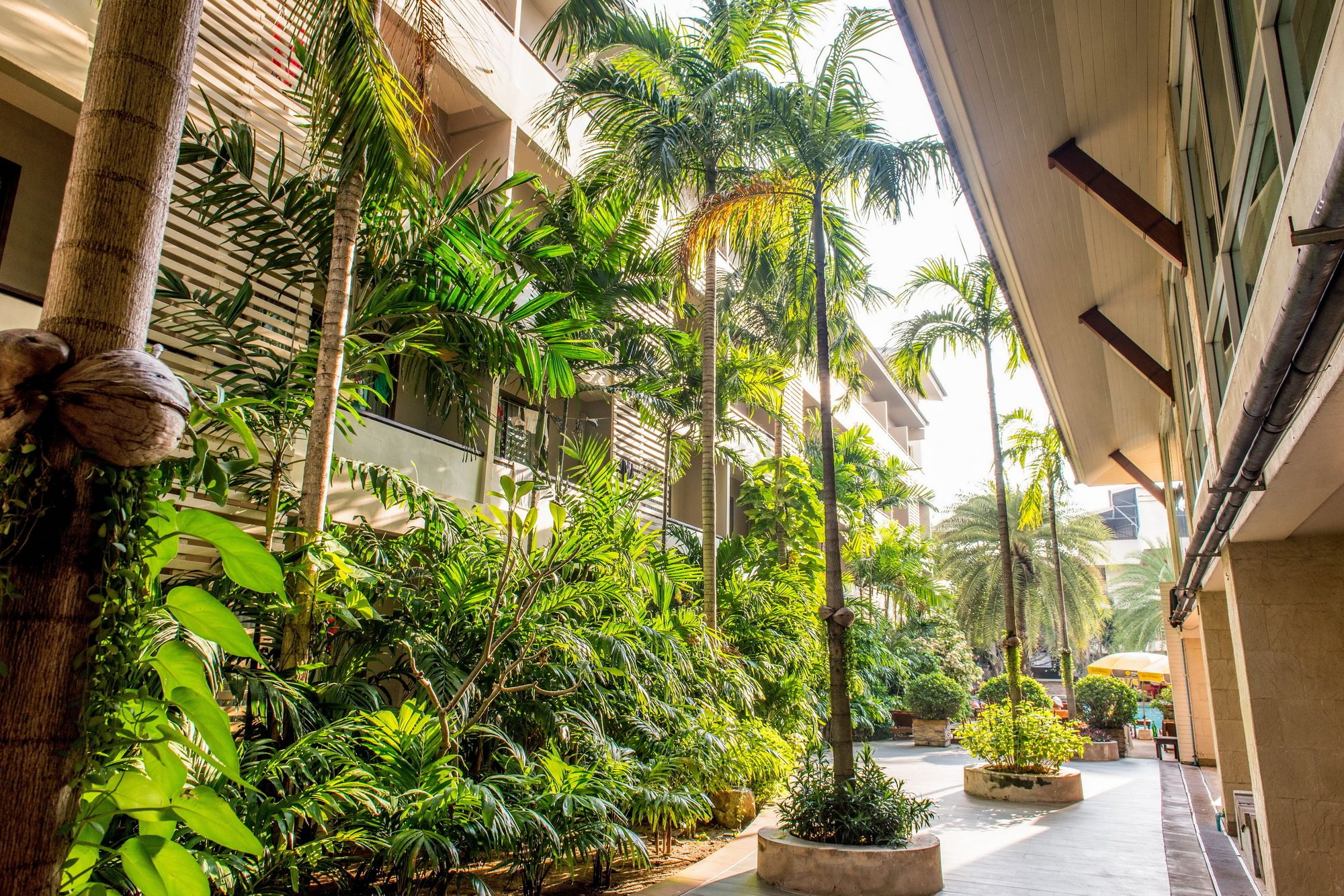 The Sea Breeze Jomtien Resort