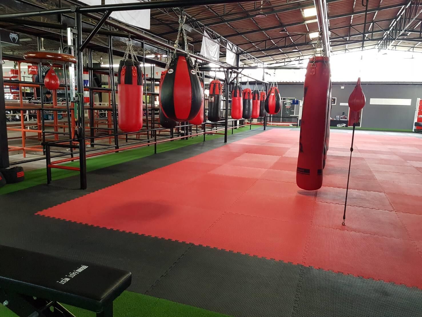 EVO360 Muay Thai