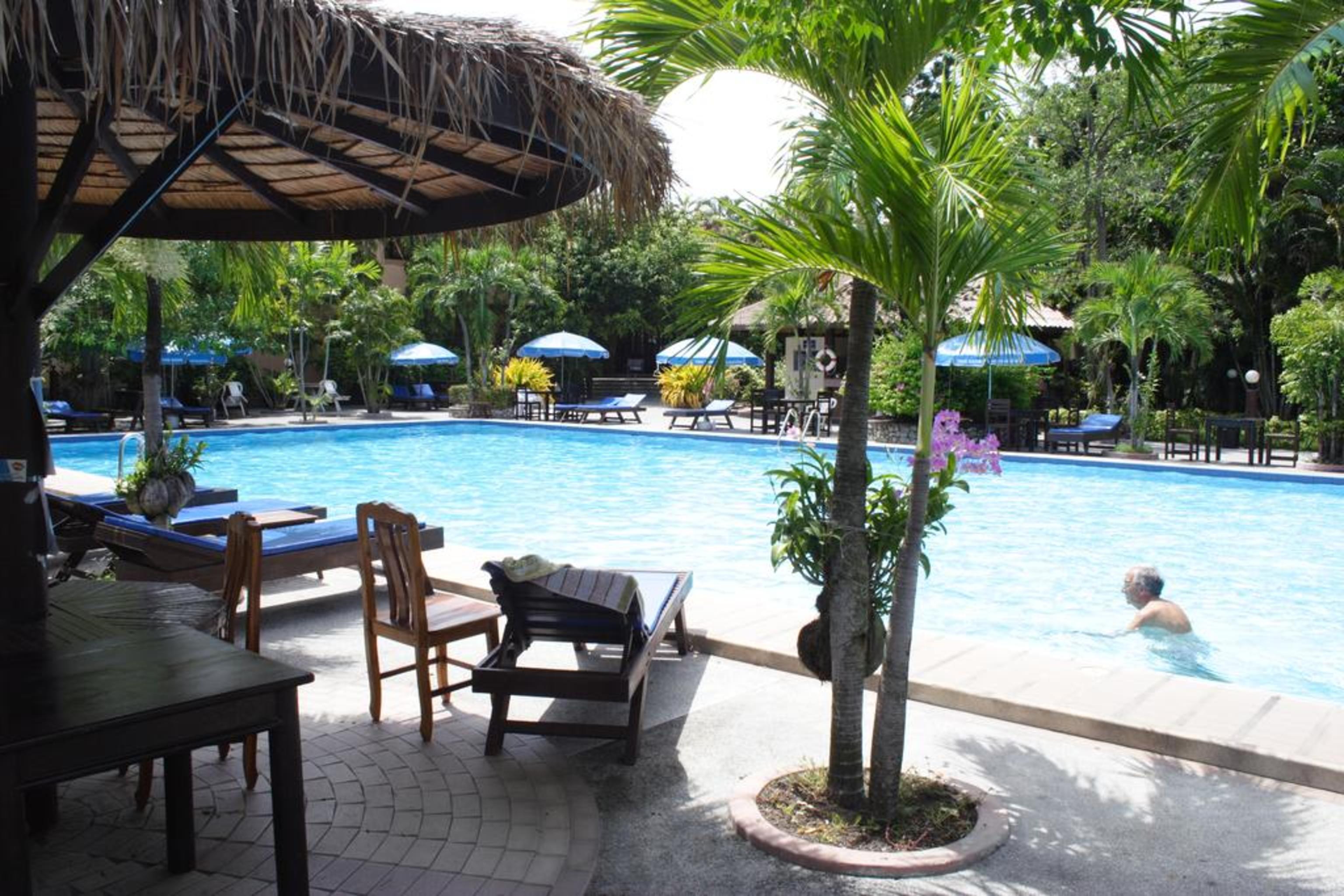 Palm Garden