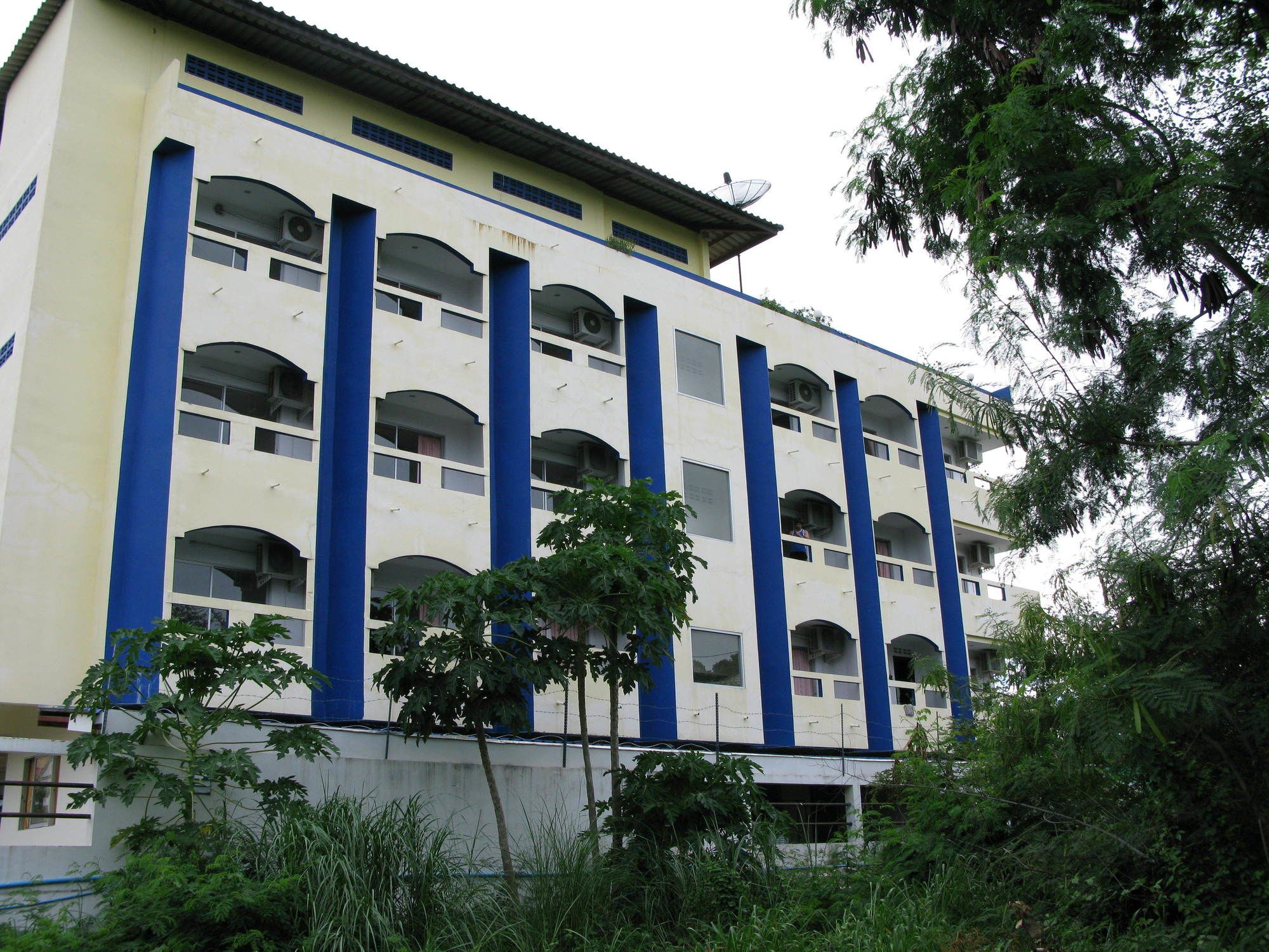 Paramita