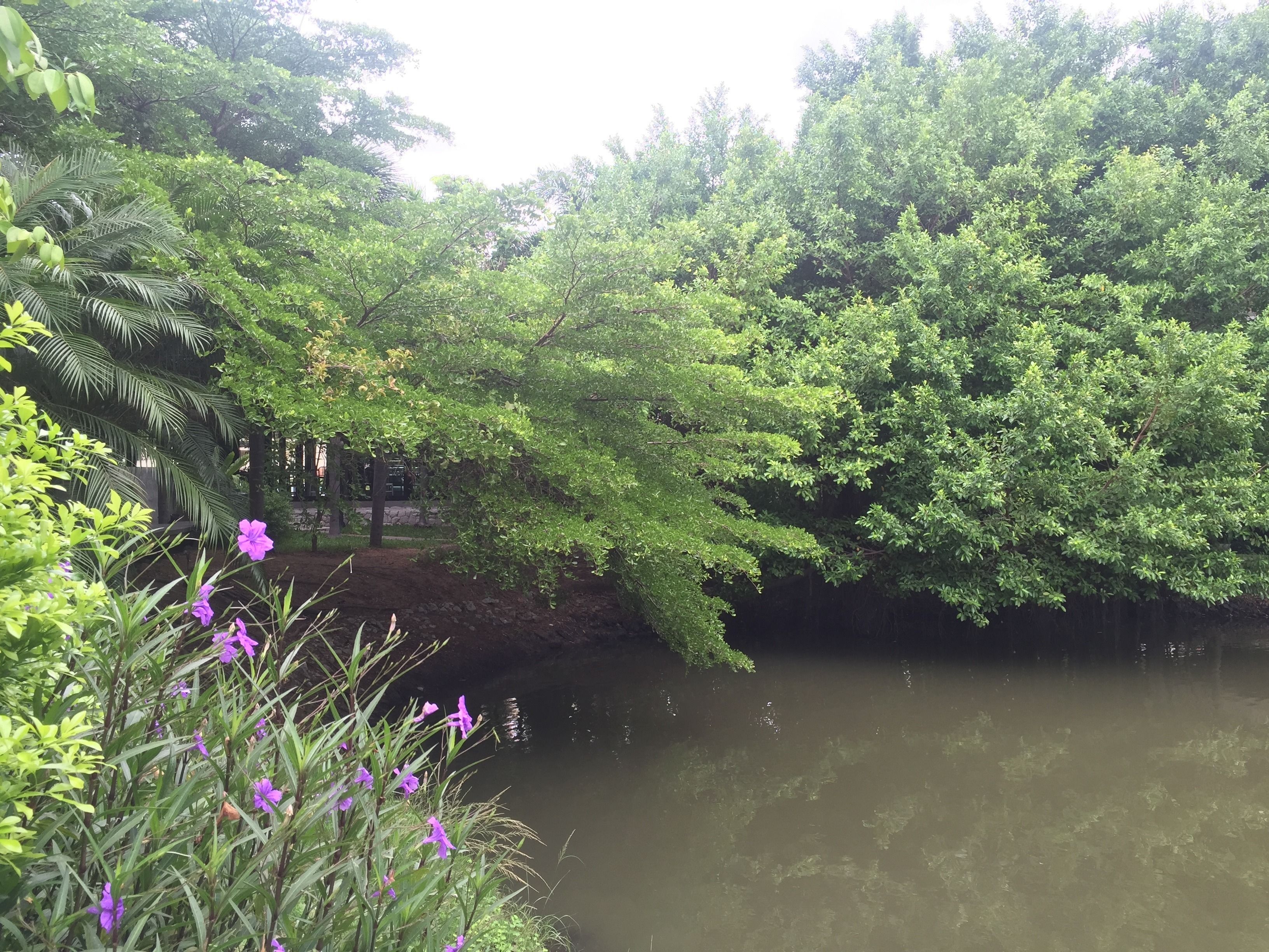 The Leela Resort & Spa Pattaya