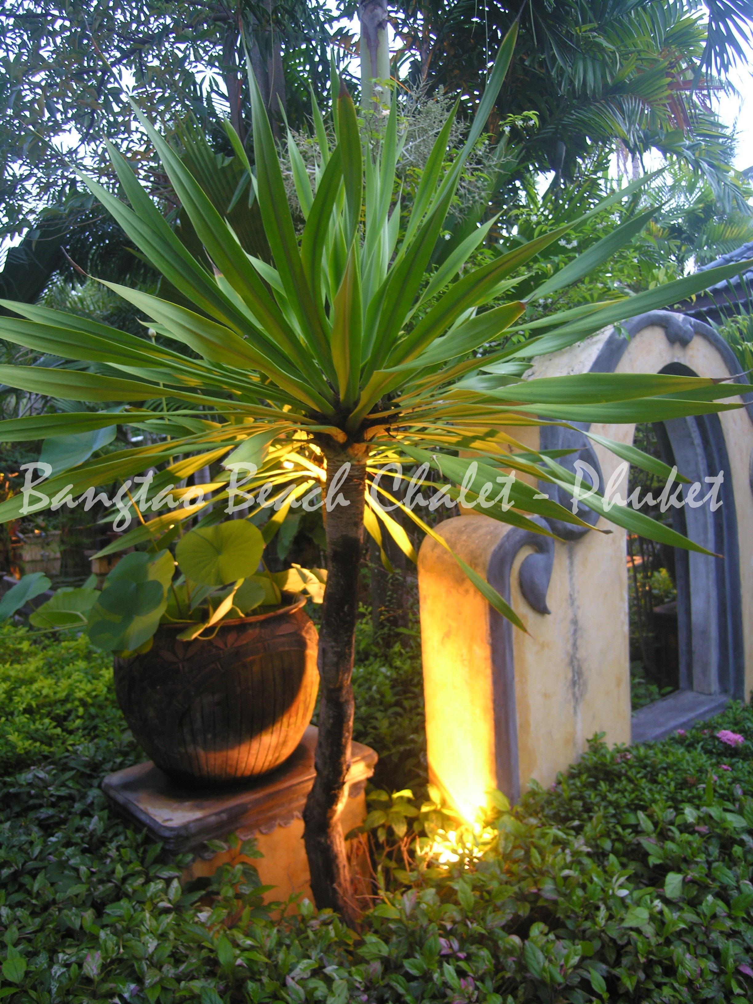 Bangtao Beach Chalet