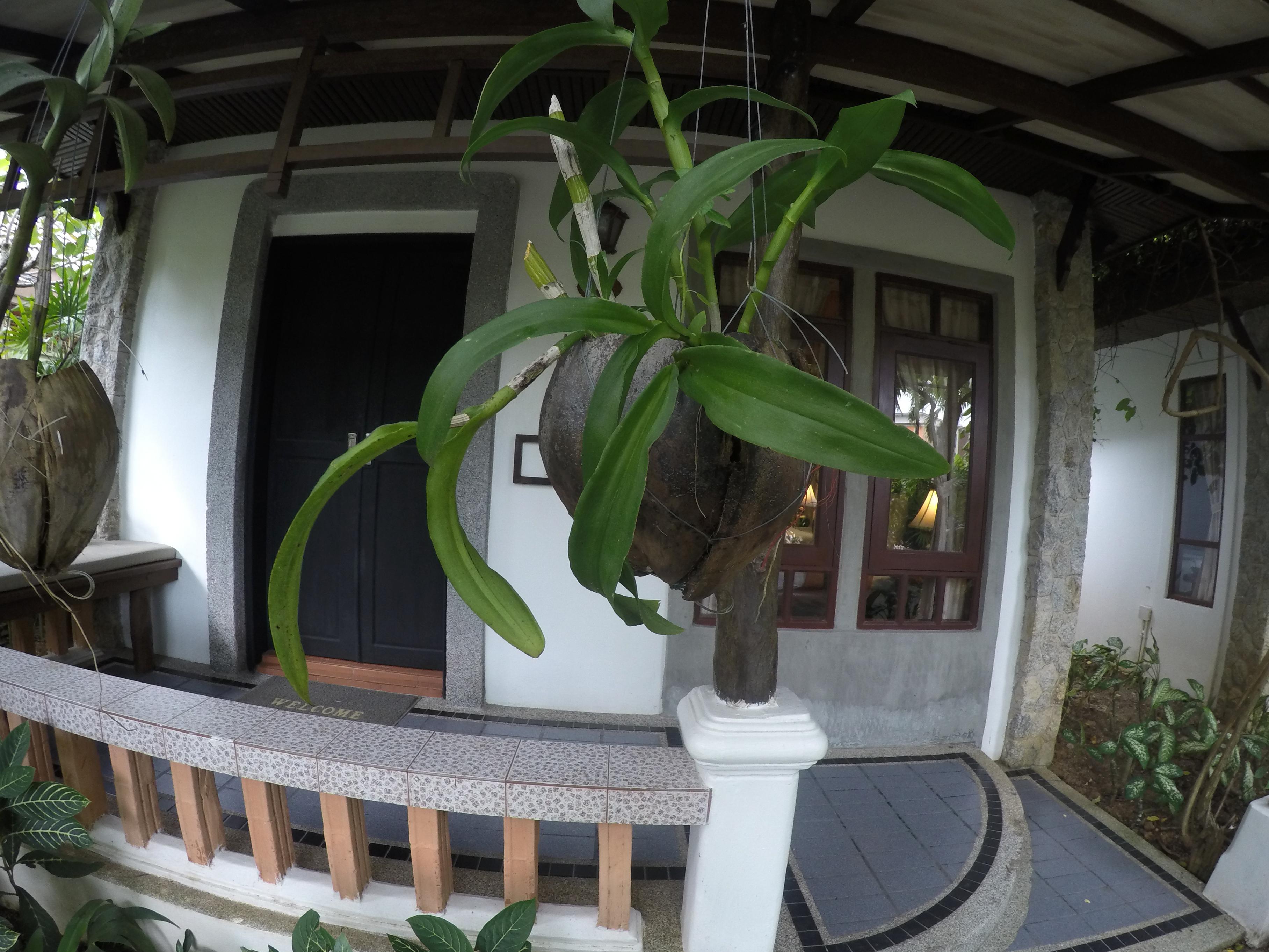 Bangtao Beach Chalet