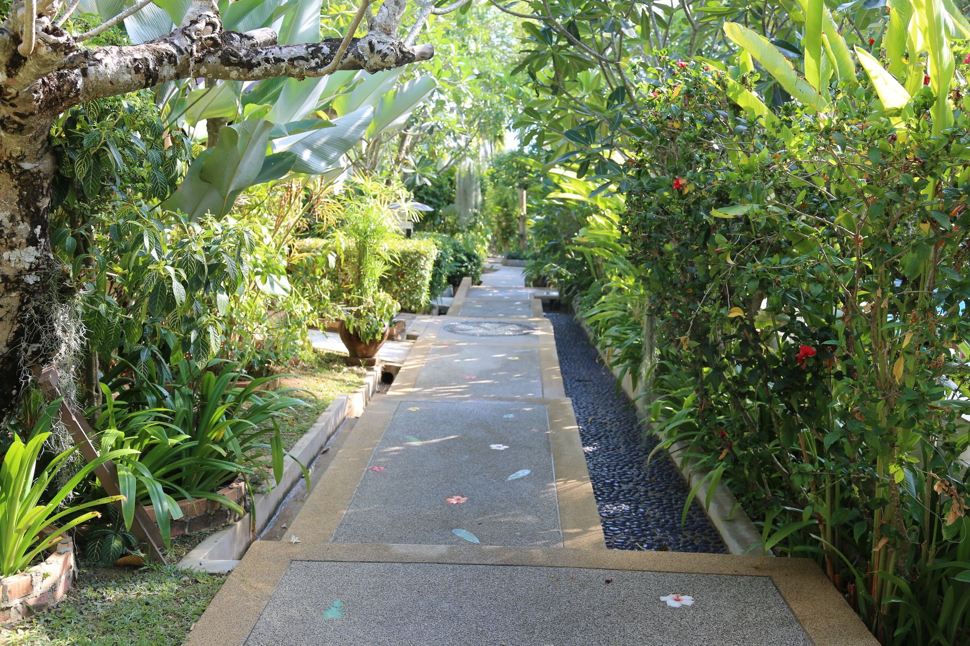 Coco Ville The Living Paradise