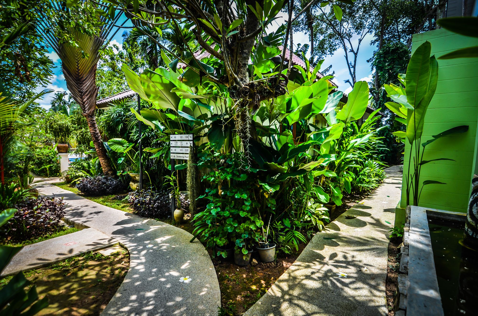 Coco Ville The Living Paradise