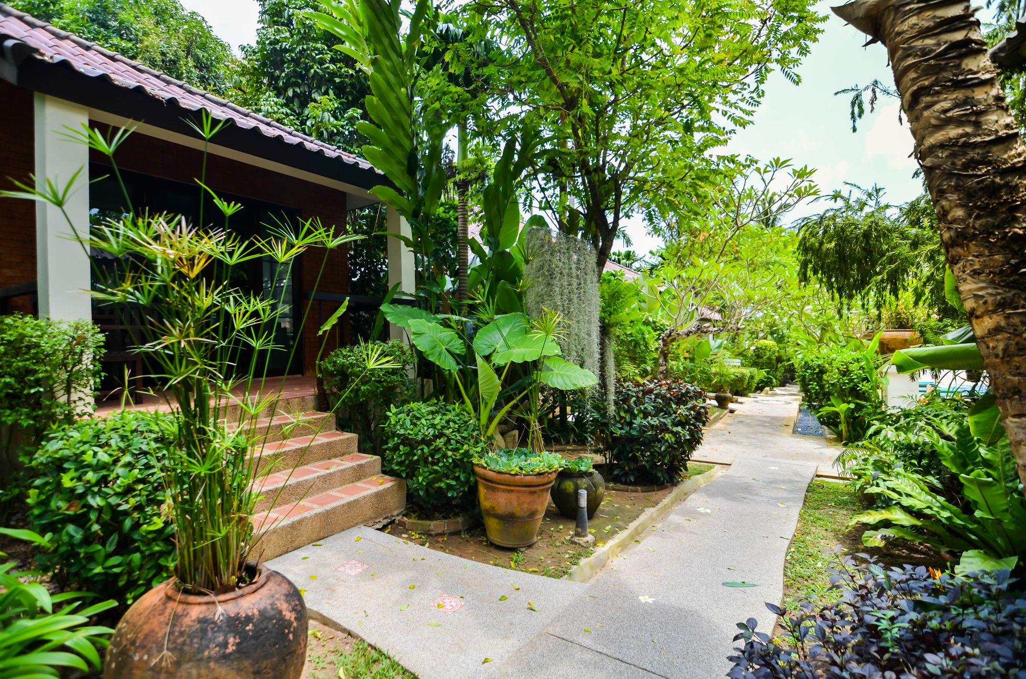 Coco Ville The Living Paradise