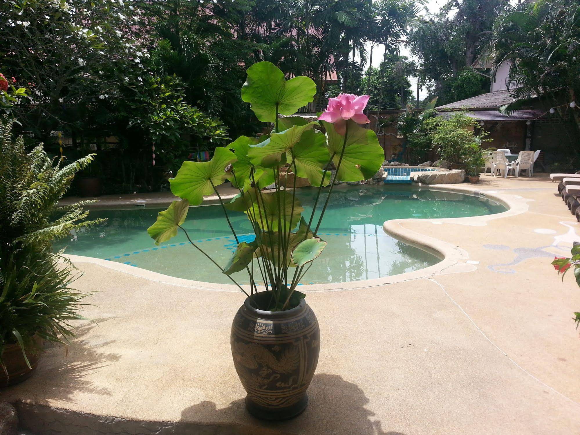 Shanti Lodge Phuket