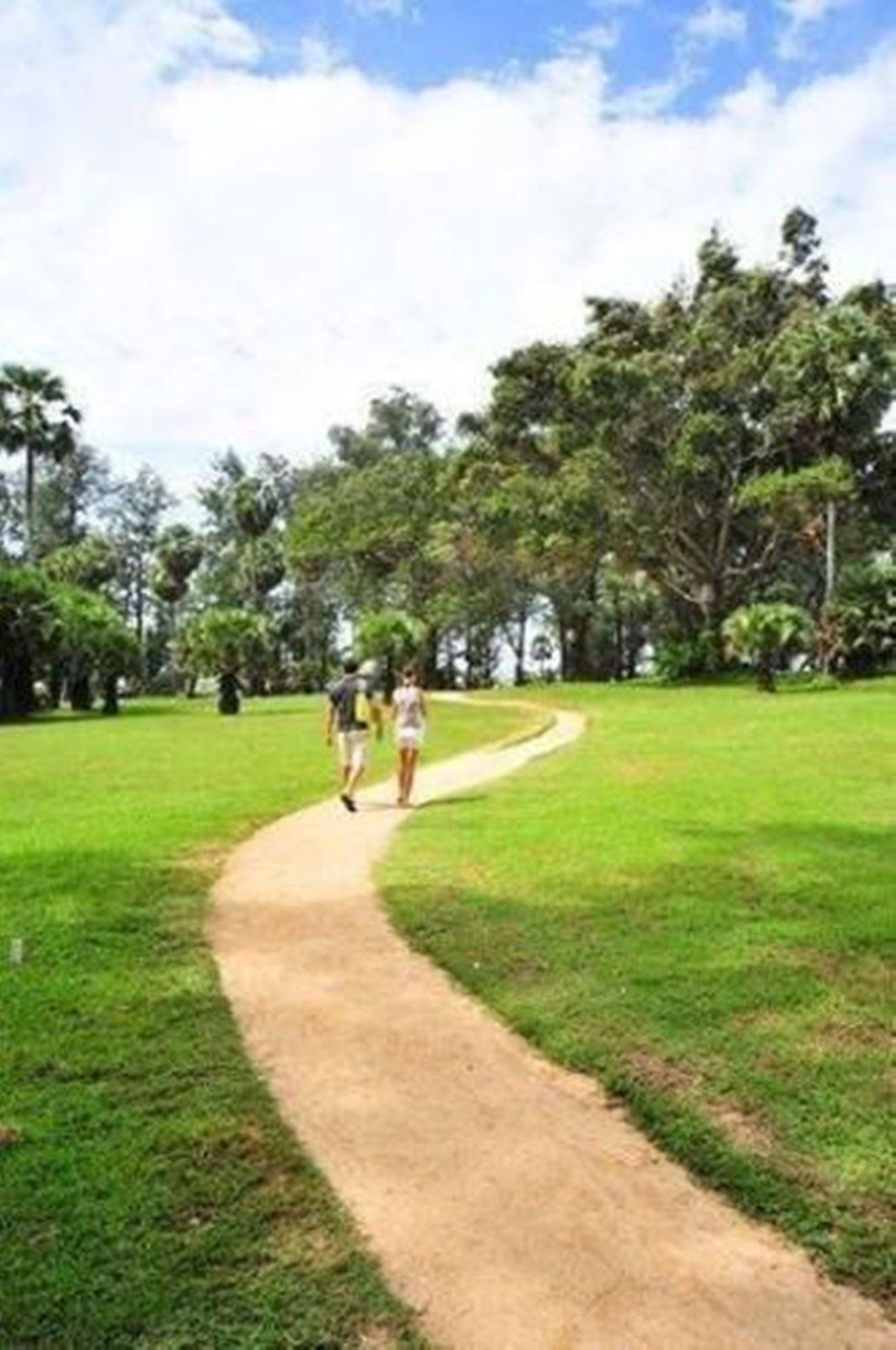 The Chava Resort
