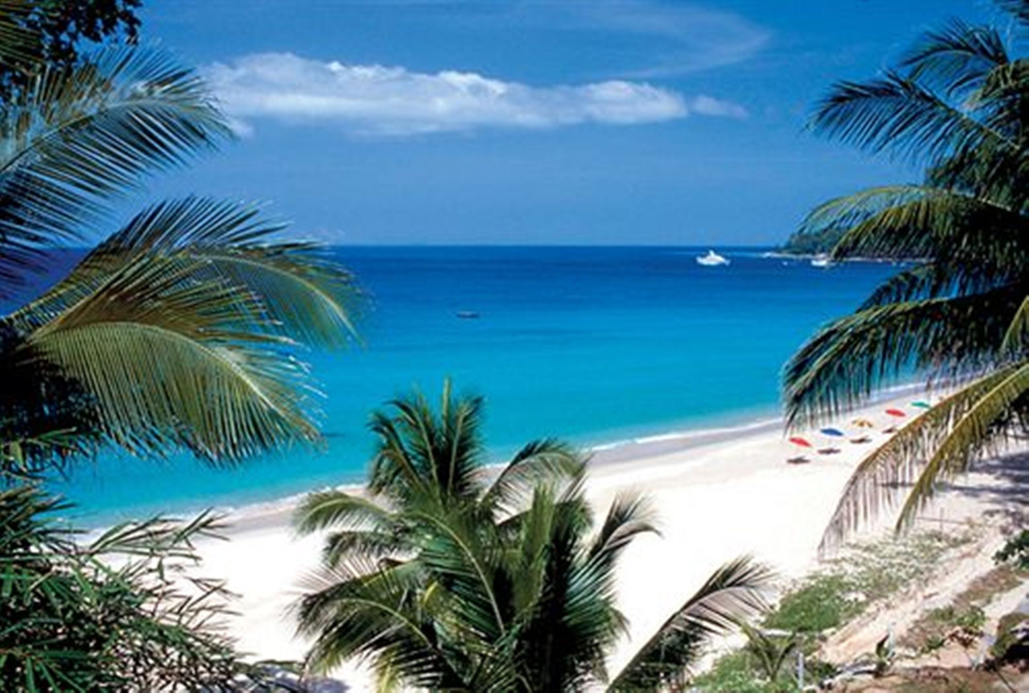 The Chava Resort