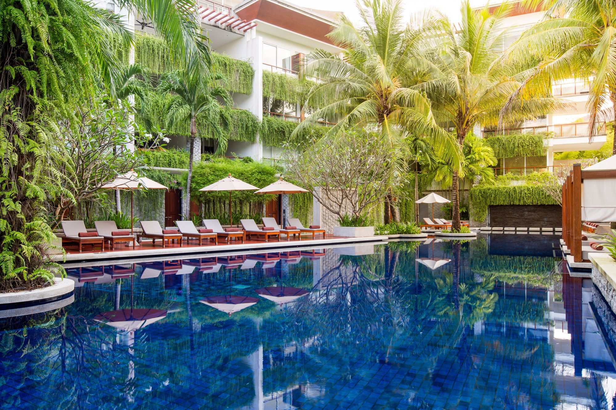 The Chava Resort