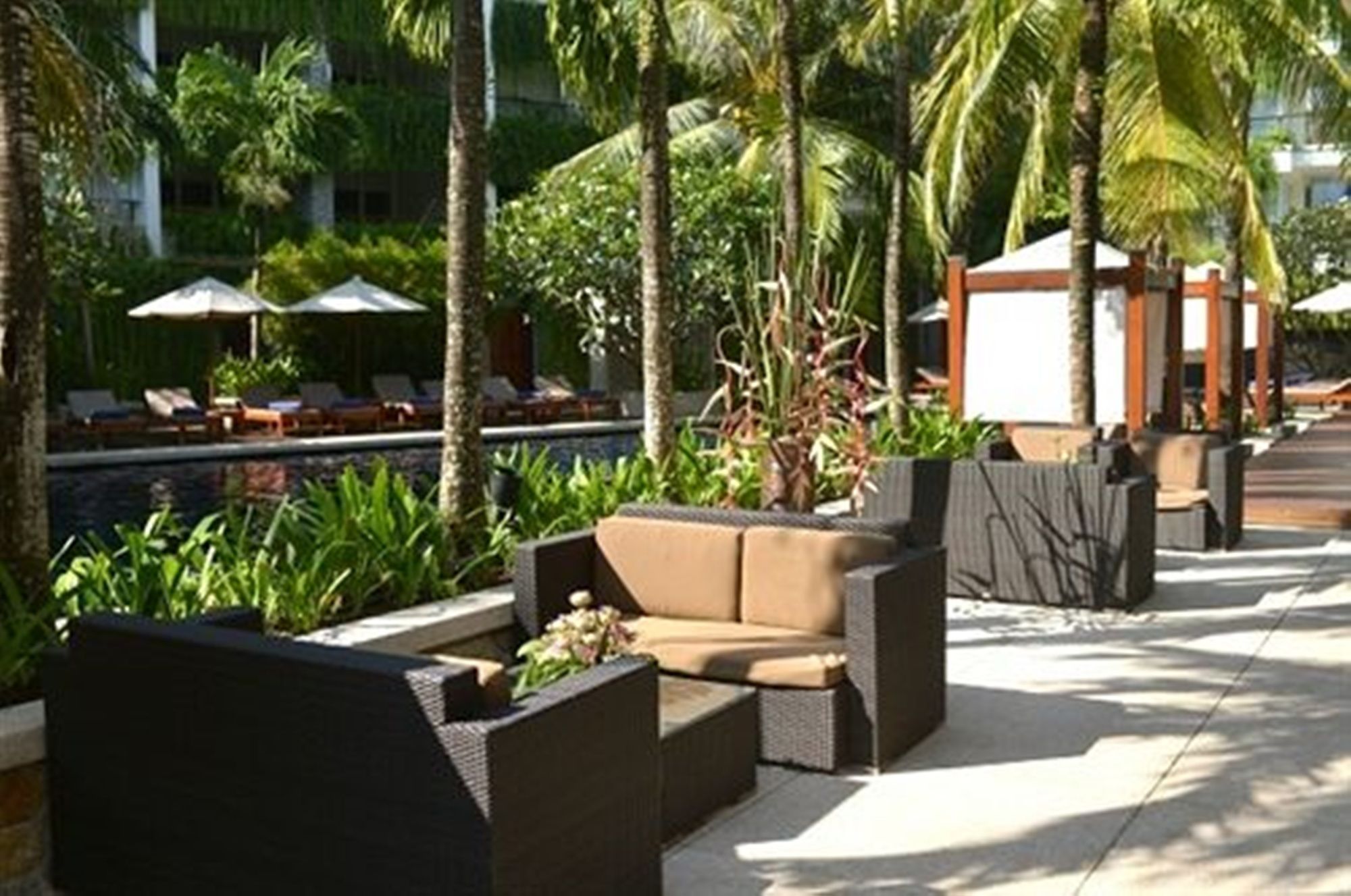 The Chava Resort