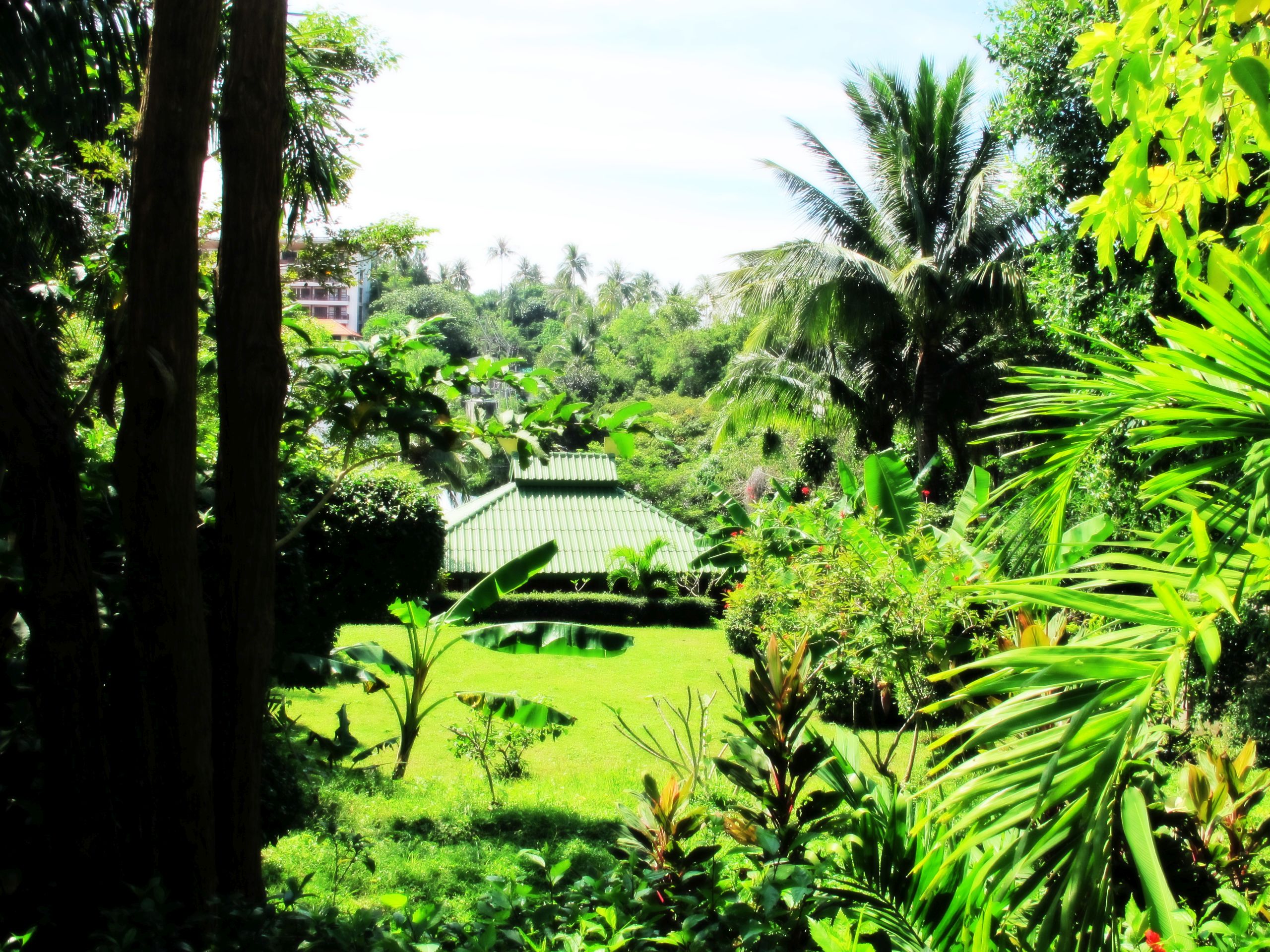 Kata Garden Resort