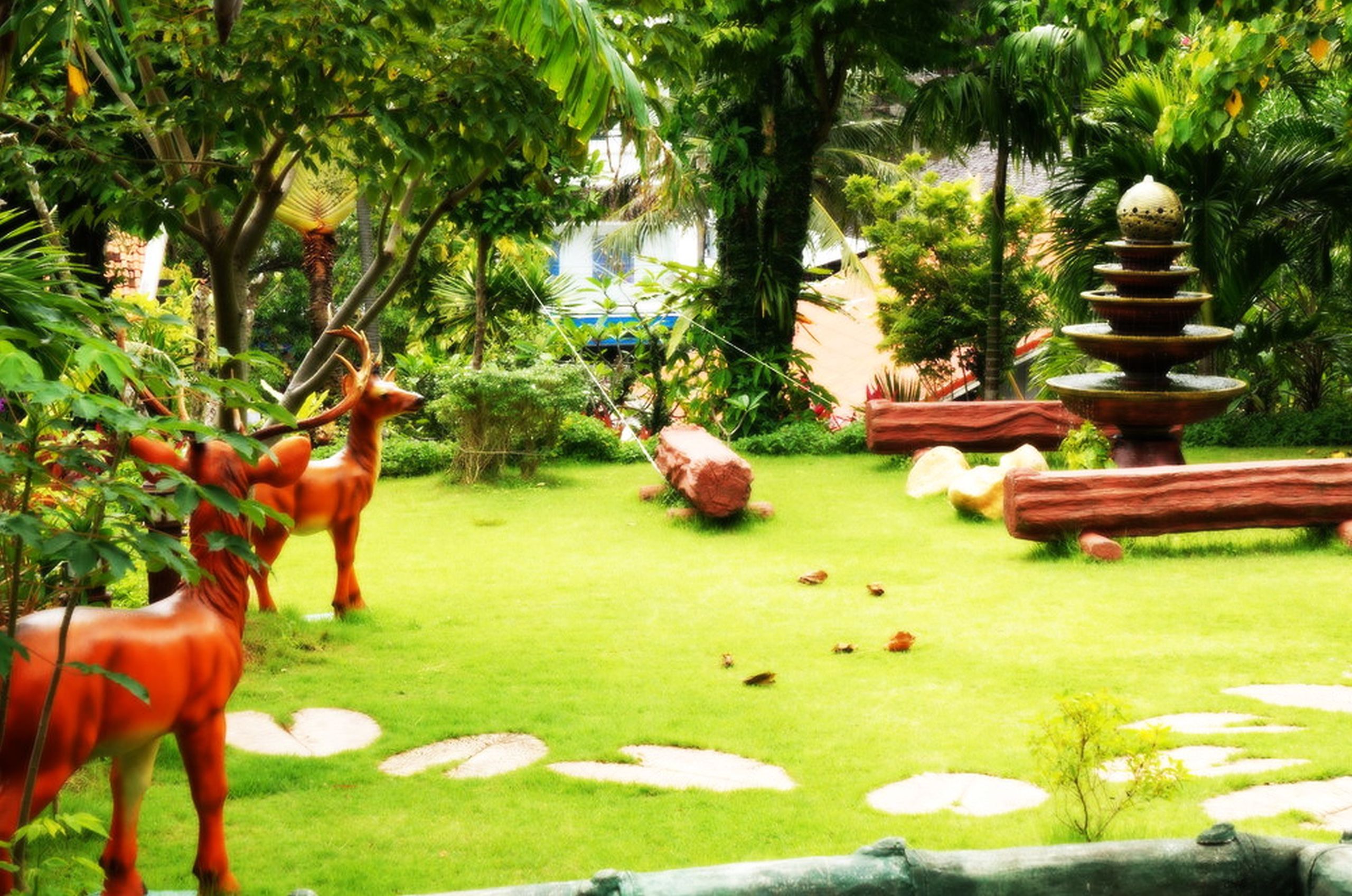 Kata Garden Resort