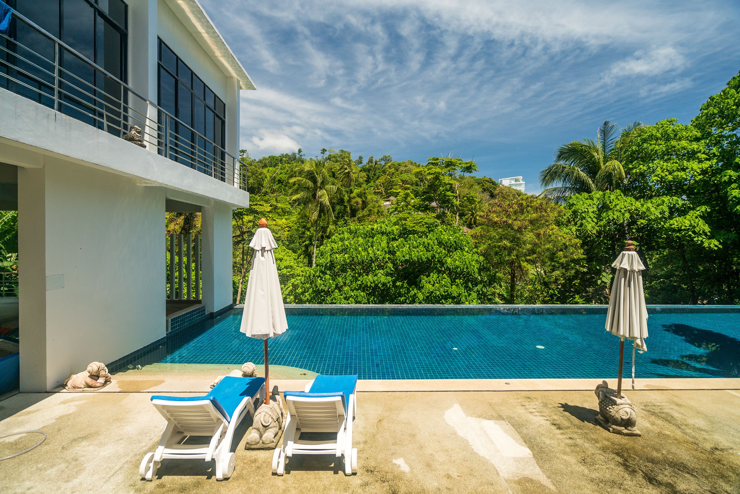 The Palm at Karon Hill by Lofty