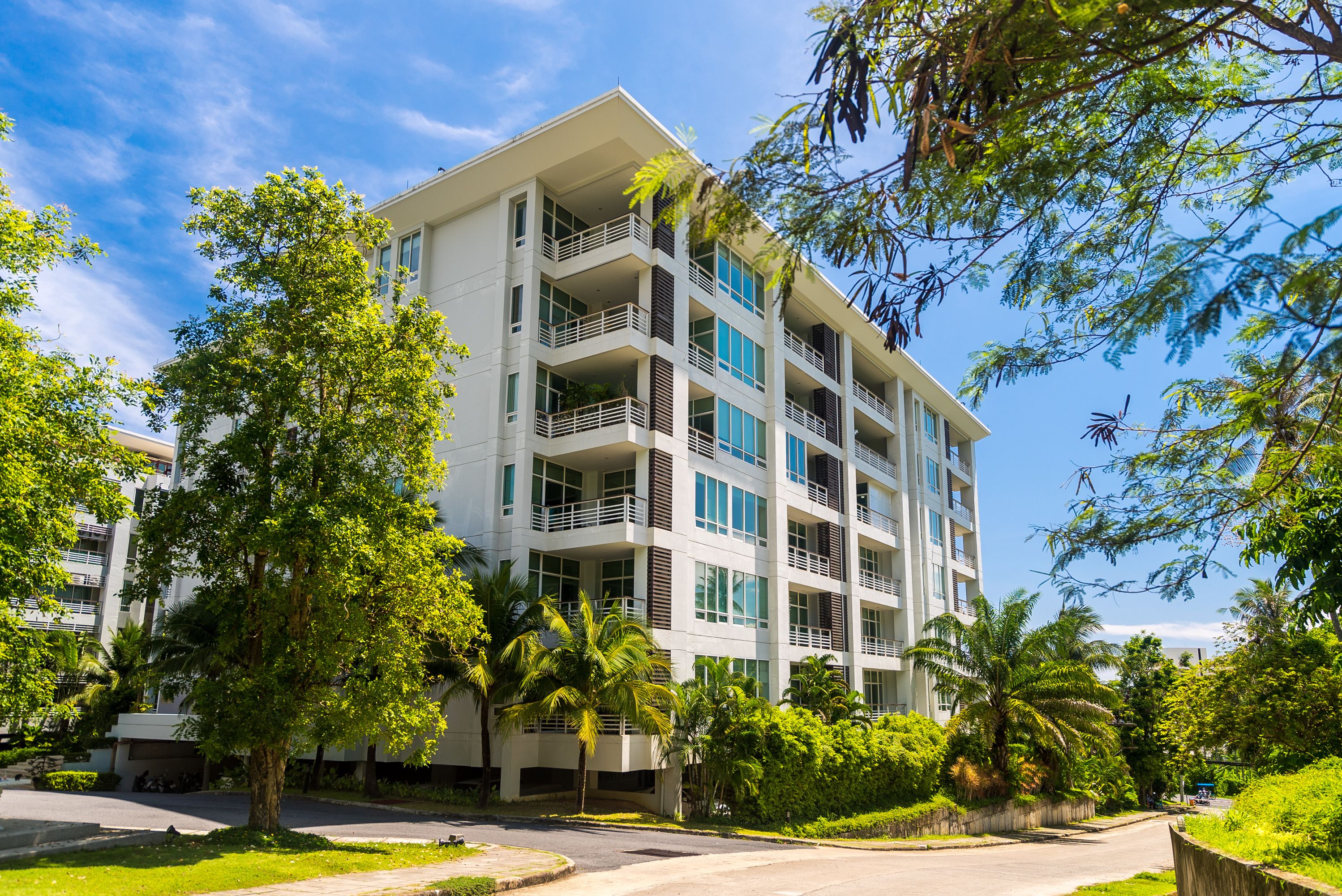 The Palm at Karon Hill by Lofty