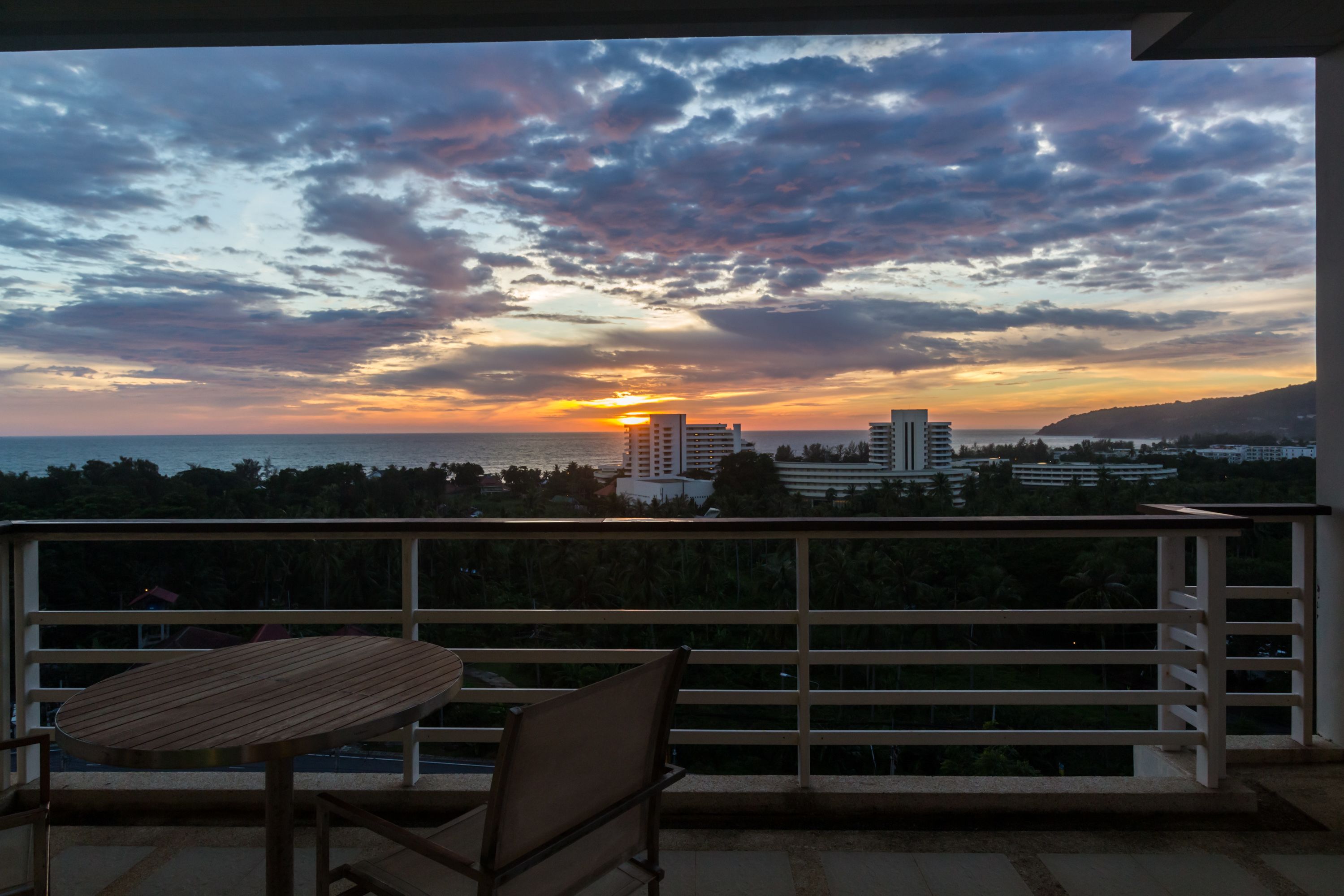 The Palm at Karon Hill by Lofty