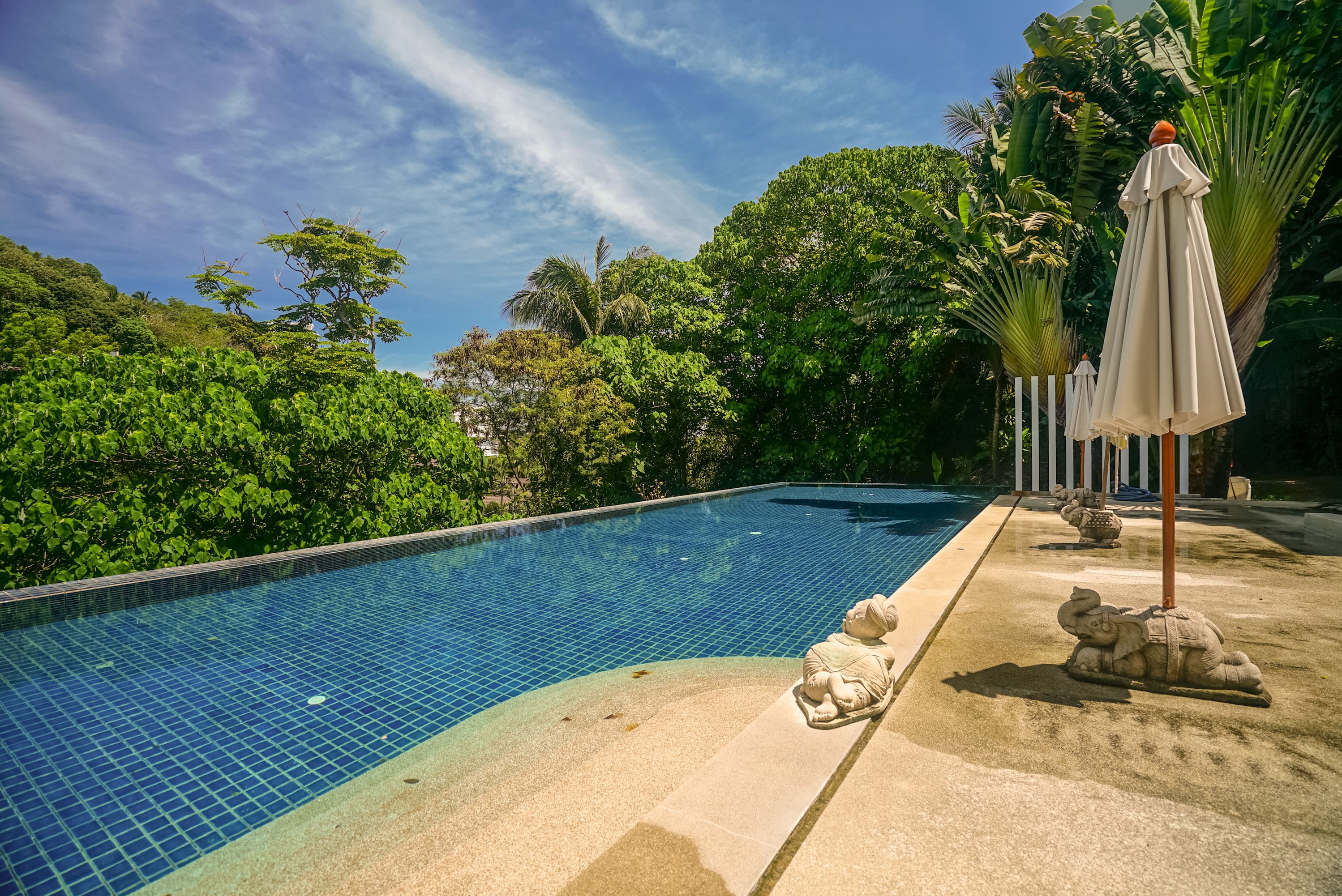 The Palm at Karon Hill by Lofty