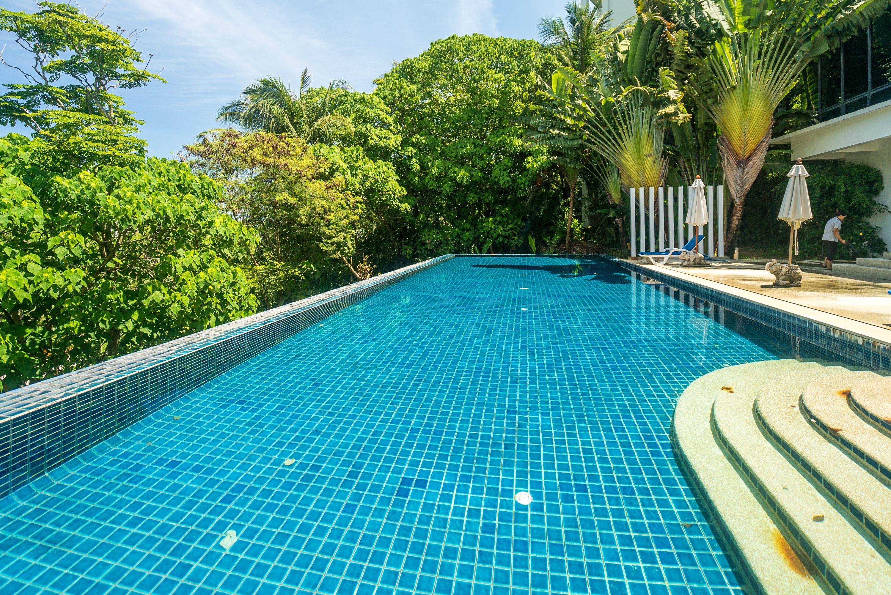 The Palm at Karon Hill by Lofty