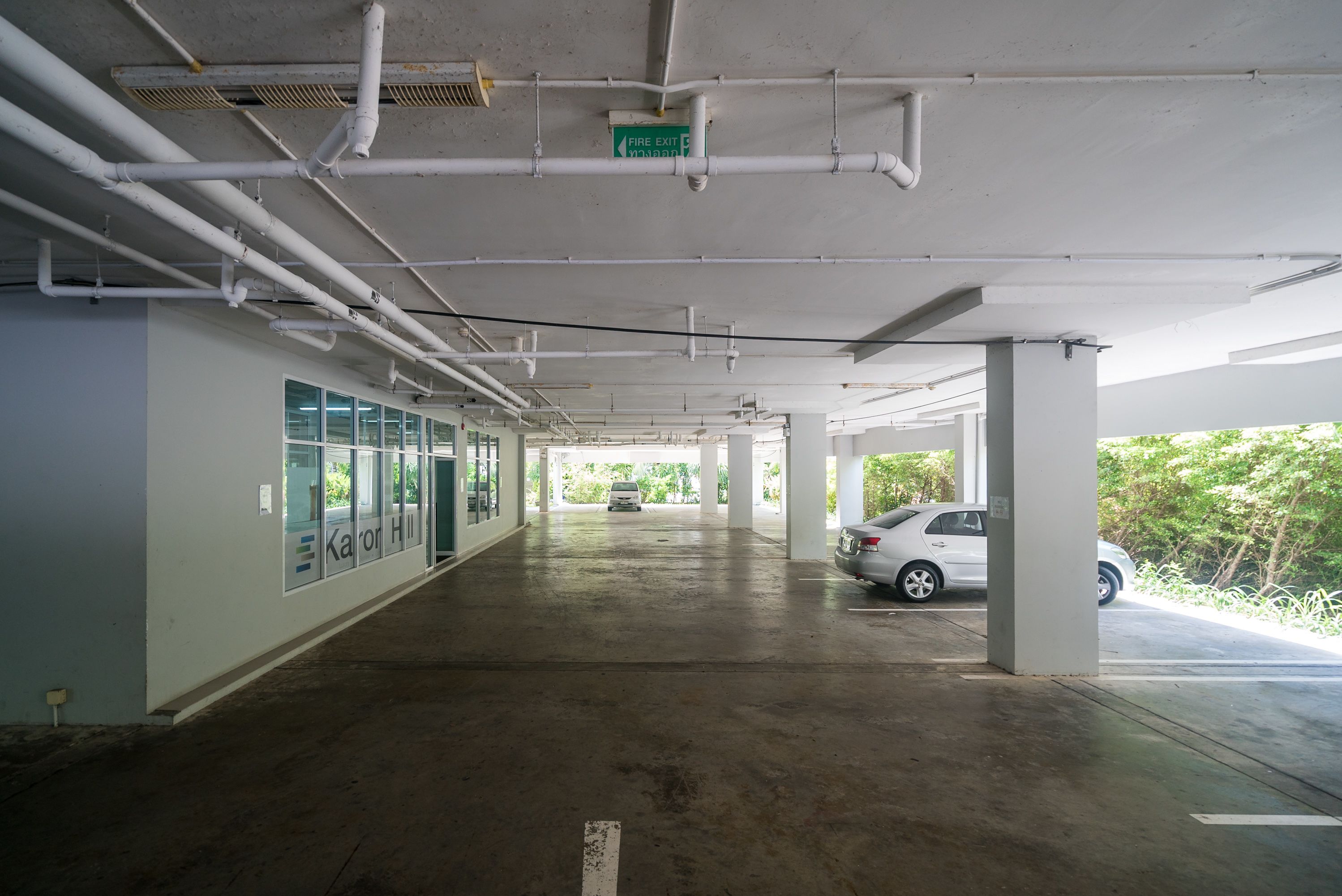 The Palm at Karon Hill by Lofty
