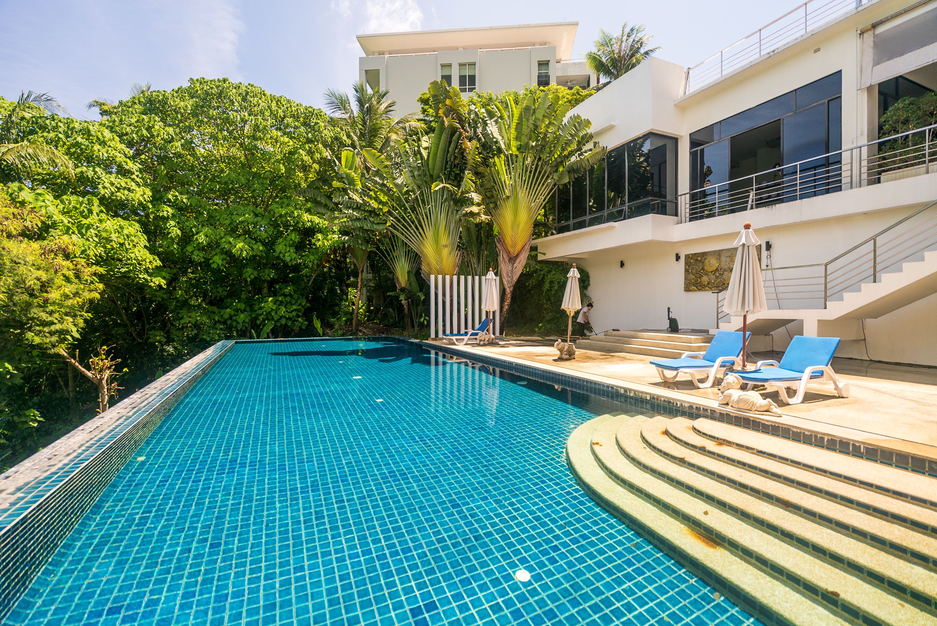 The Palm at Karon Hill by Lofty