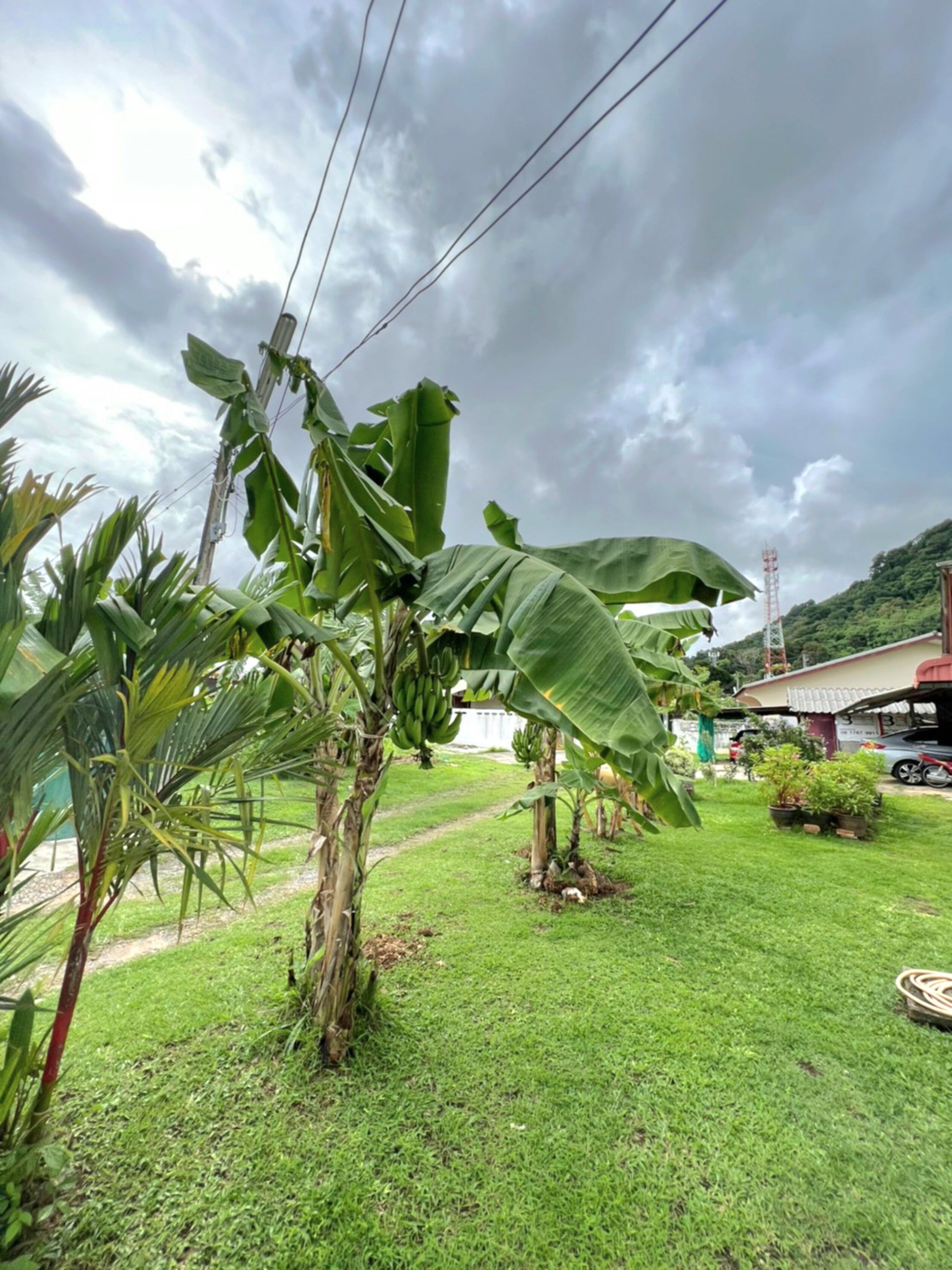 Baan Bonsuan Hill Guesthouse