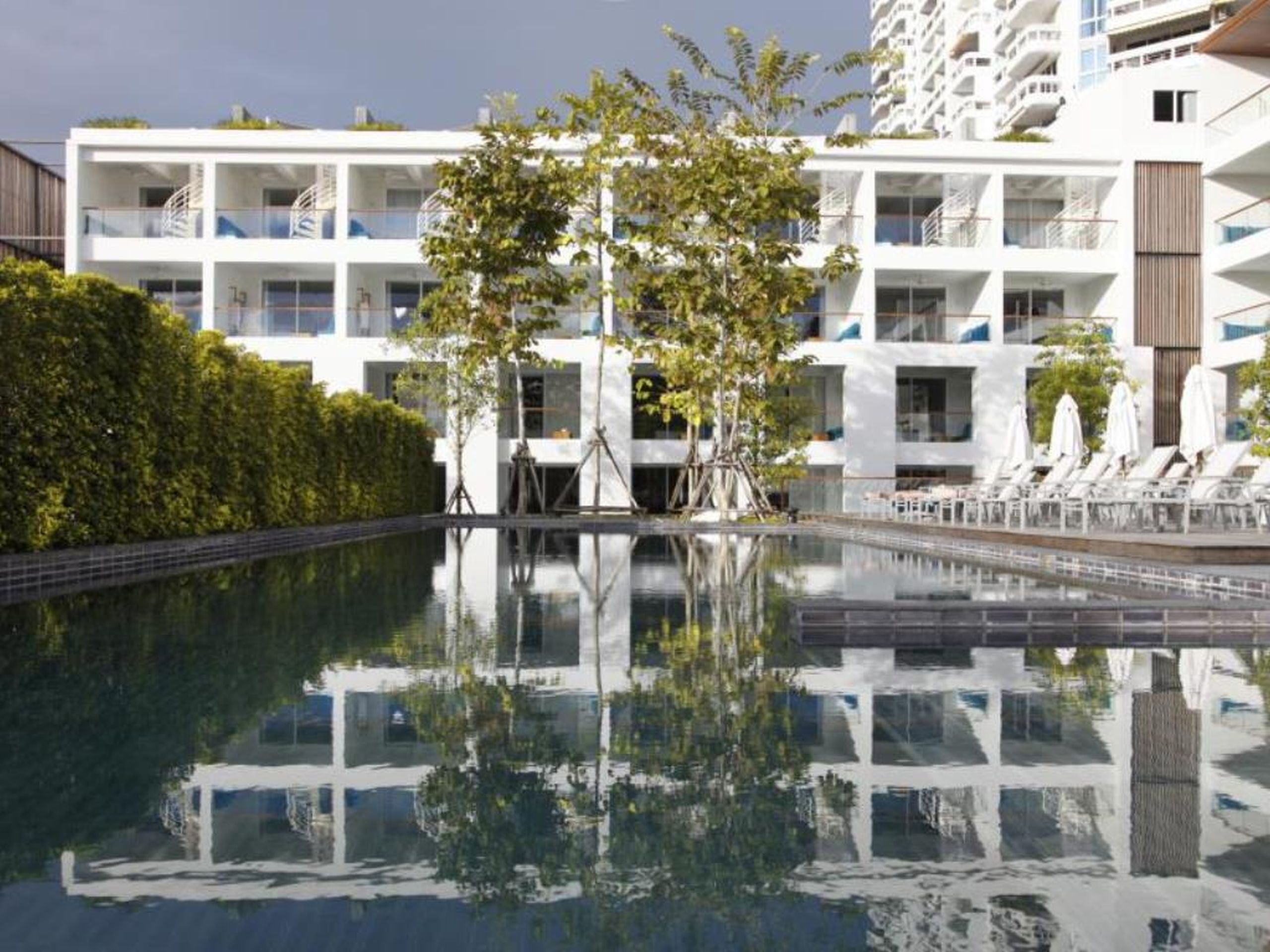 The Nap Patong