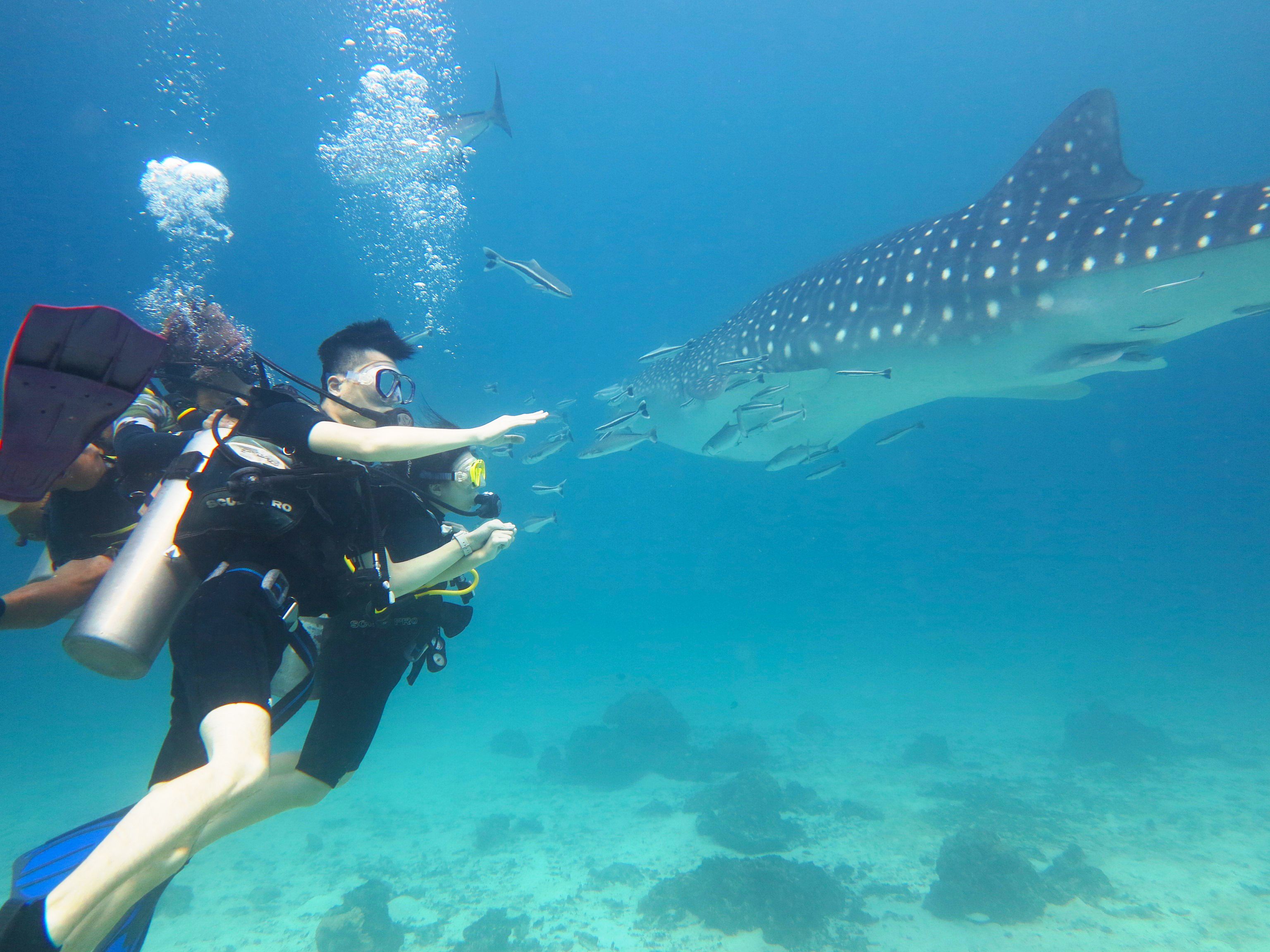 Racha Island Resort