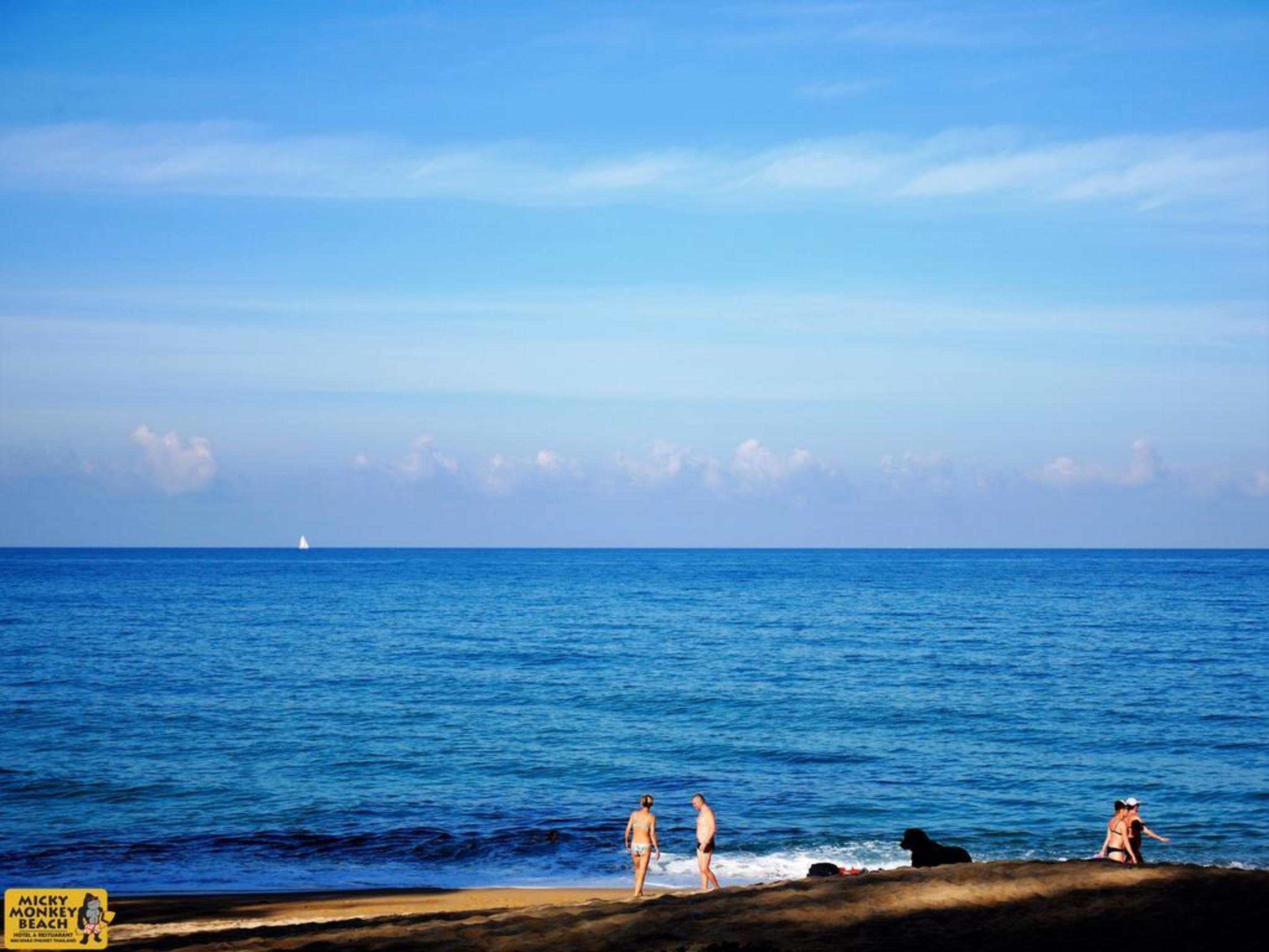 Micky Monkey Beach