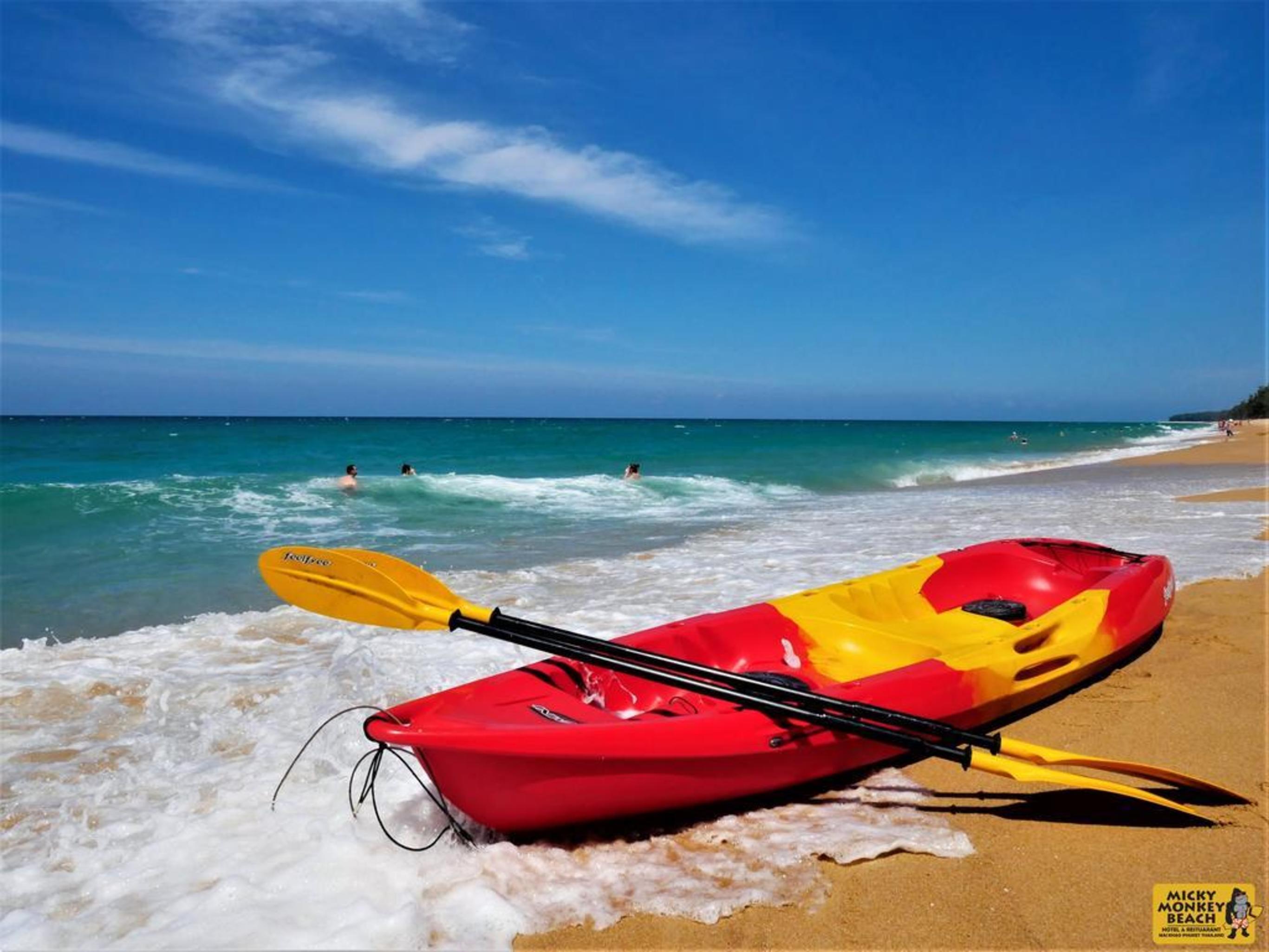 Micky Monkey Beach