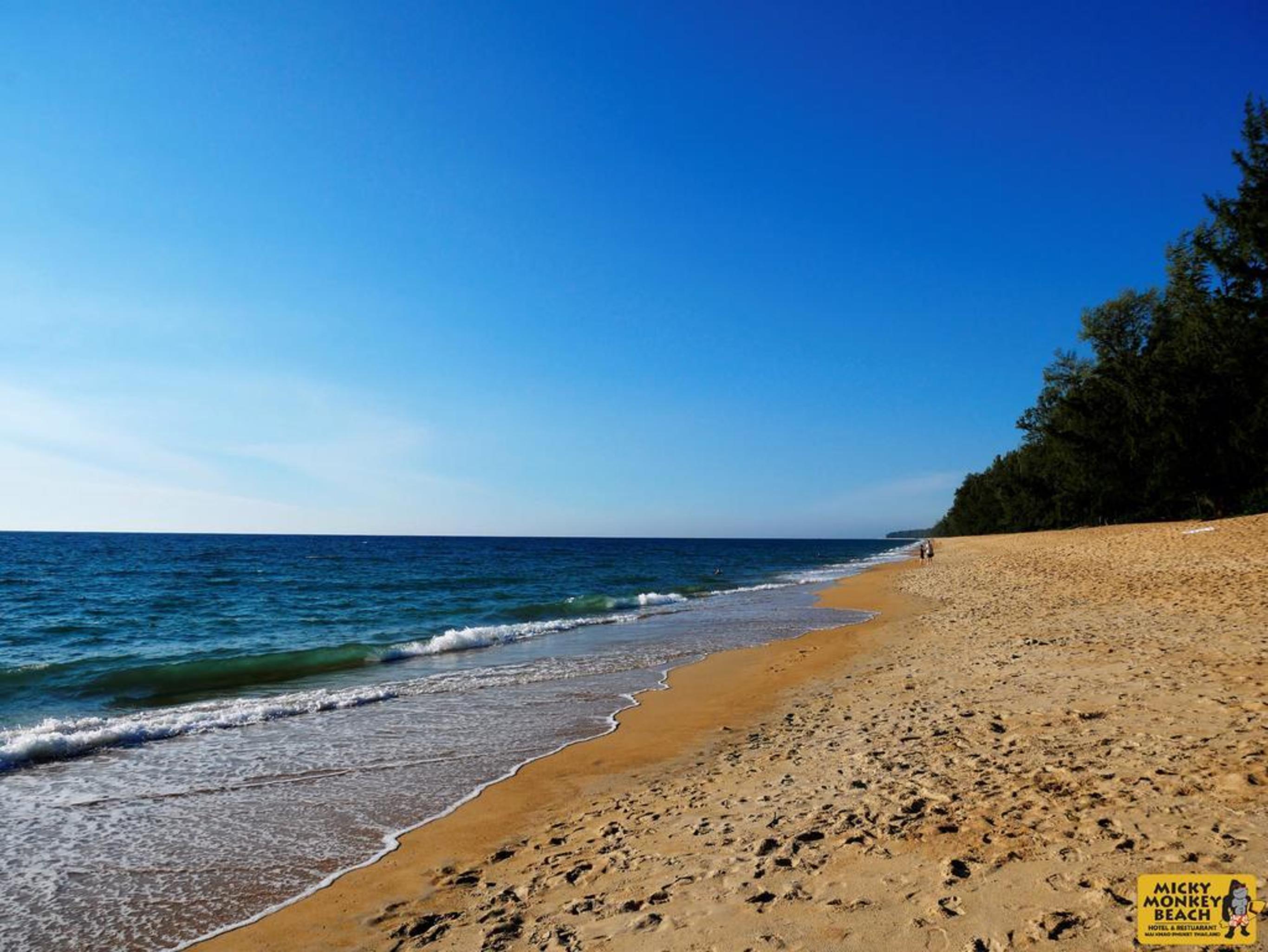 Micky Monkey Beach