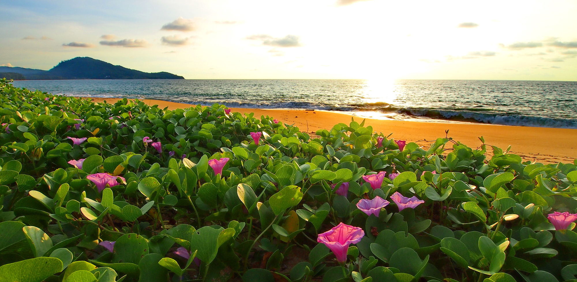 Ideo Phuket Hotel