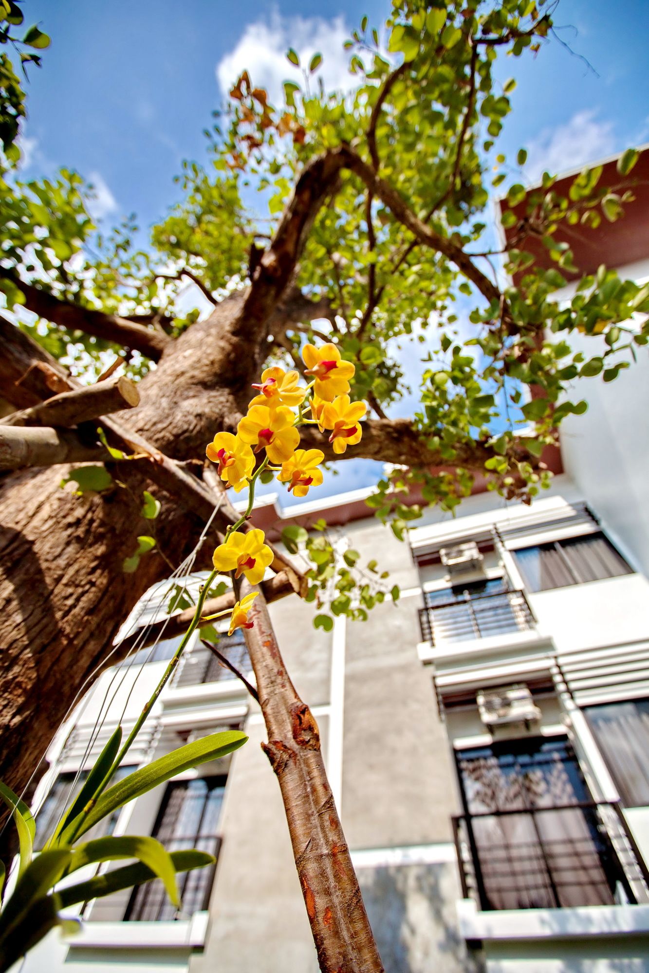 Ideo Phuket Hotel