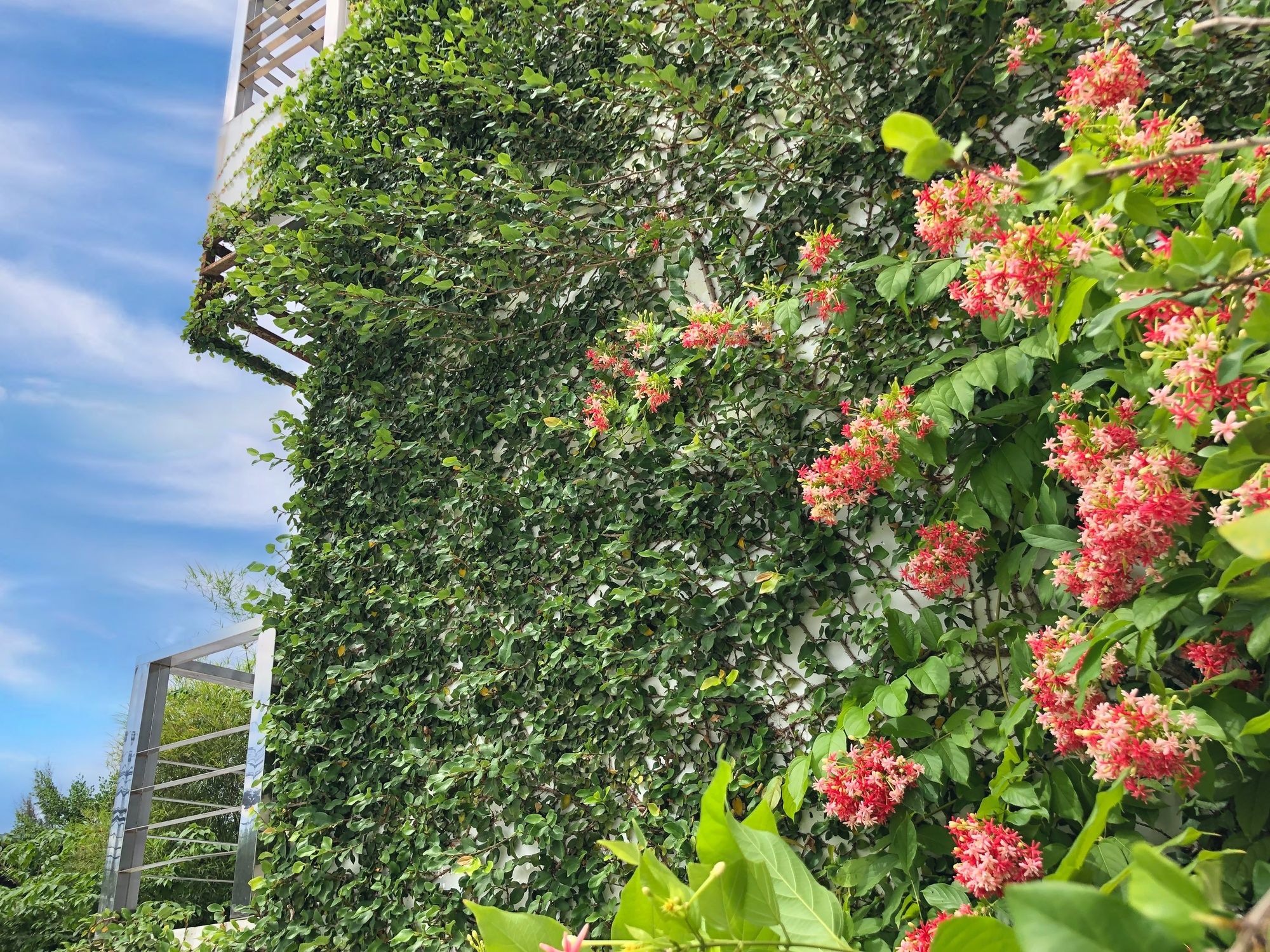 Ideo Phuket Hotel