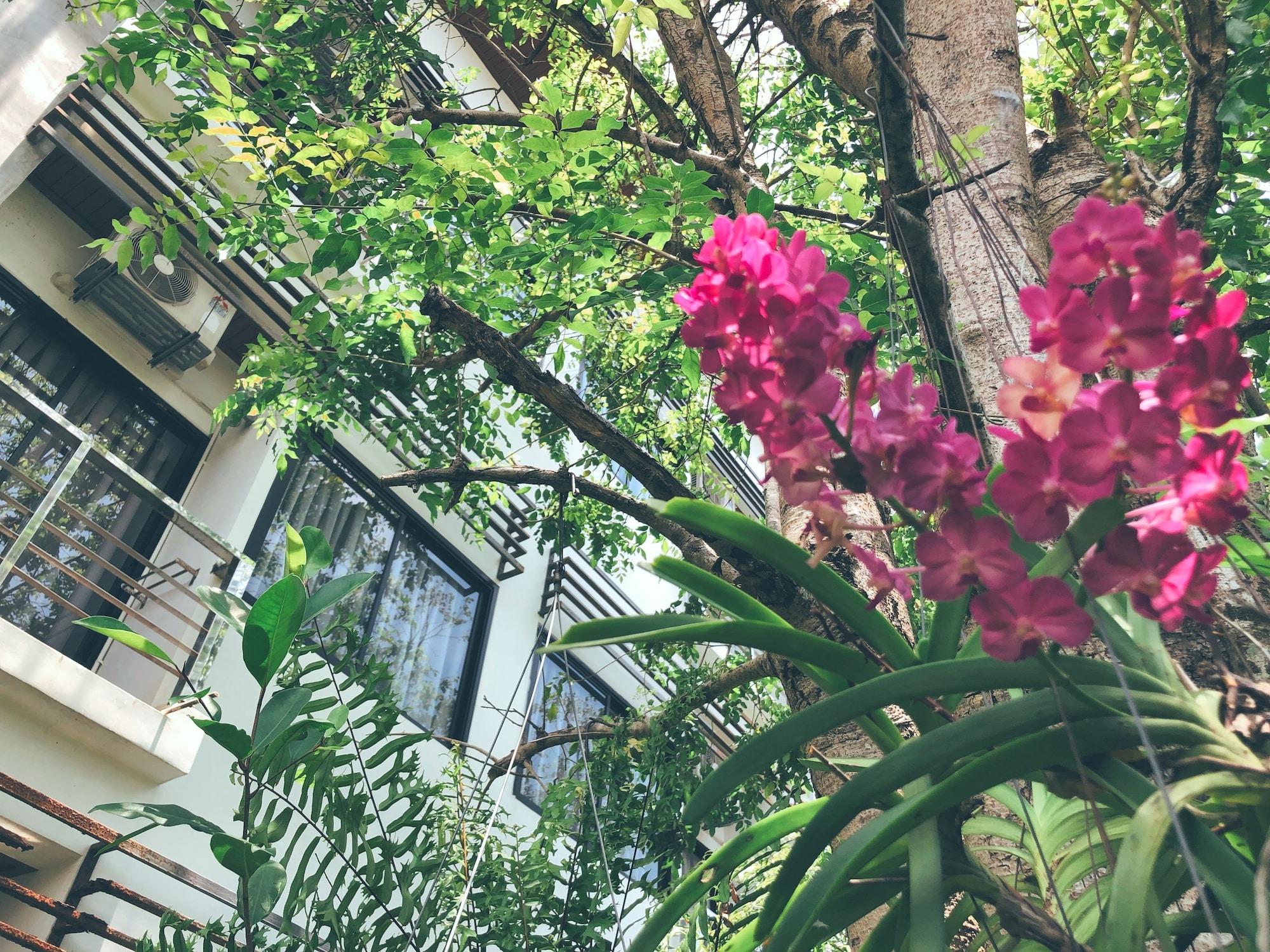 Ideo Phuket Hotel