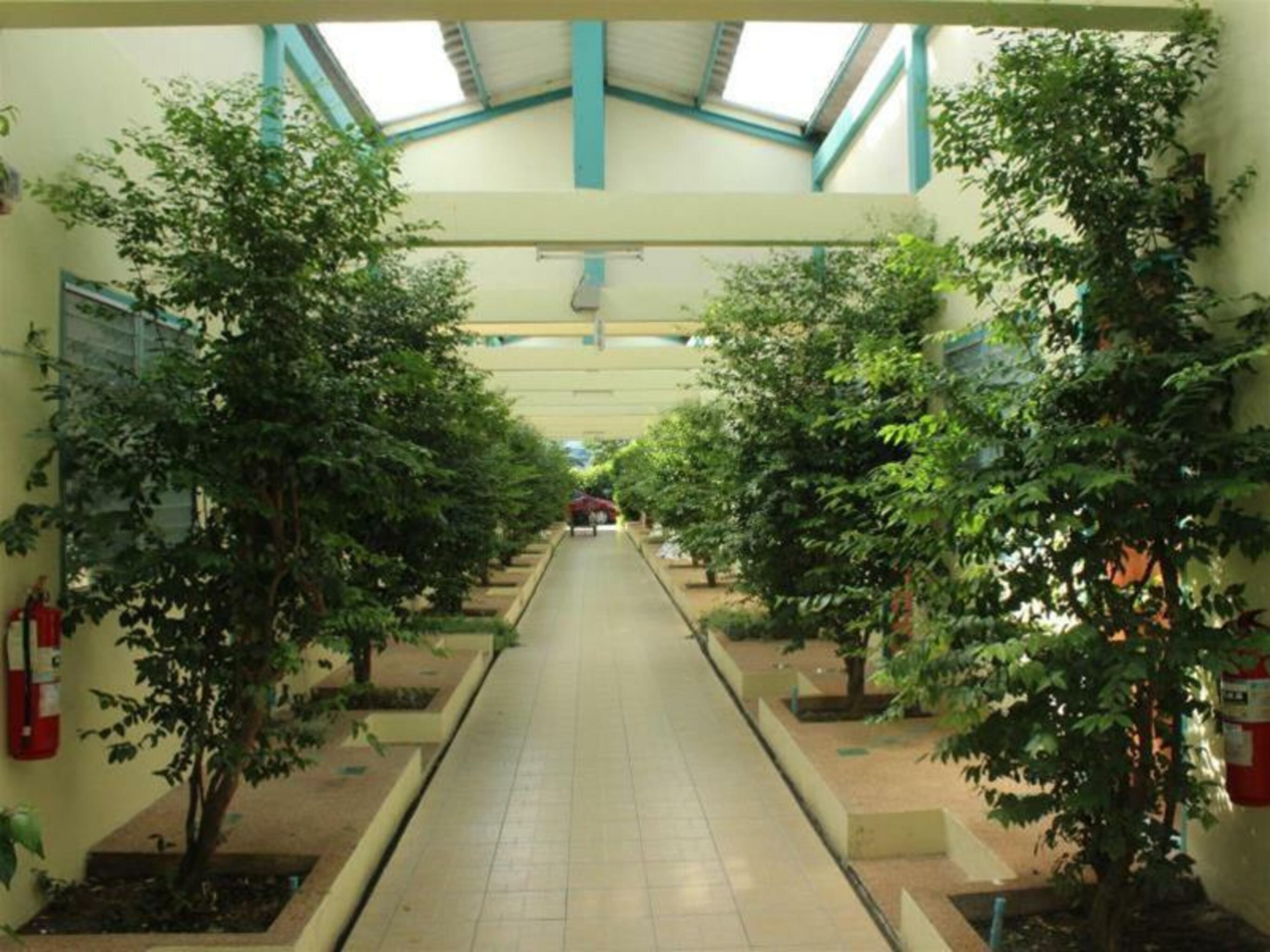 Baantonsai Garden Resort