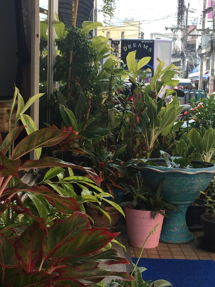 Dreams Guesthouse & Hostel Patong