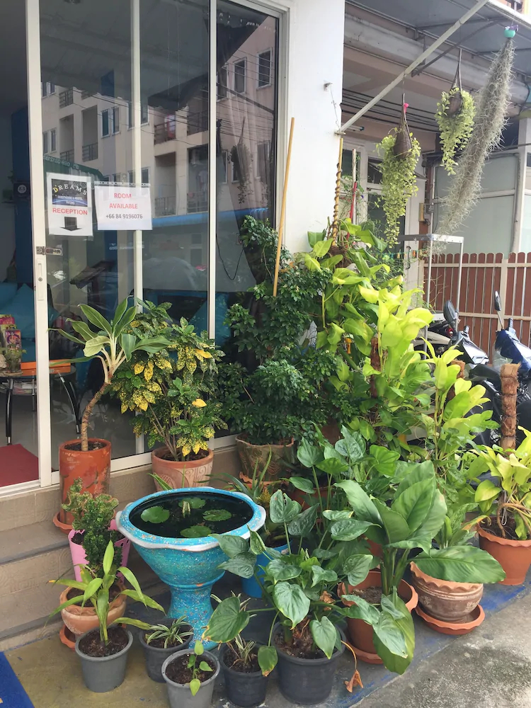 Dreams Guesthouse & Hostel Patong