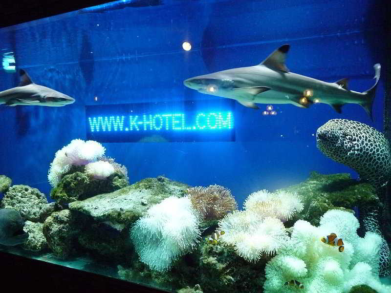 Lokal Phuket