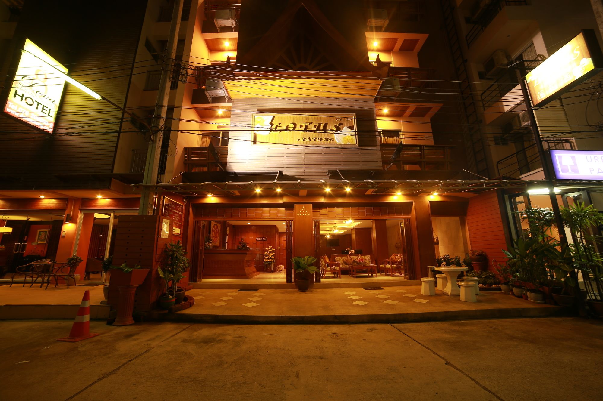 Lotus Patong