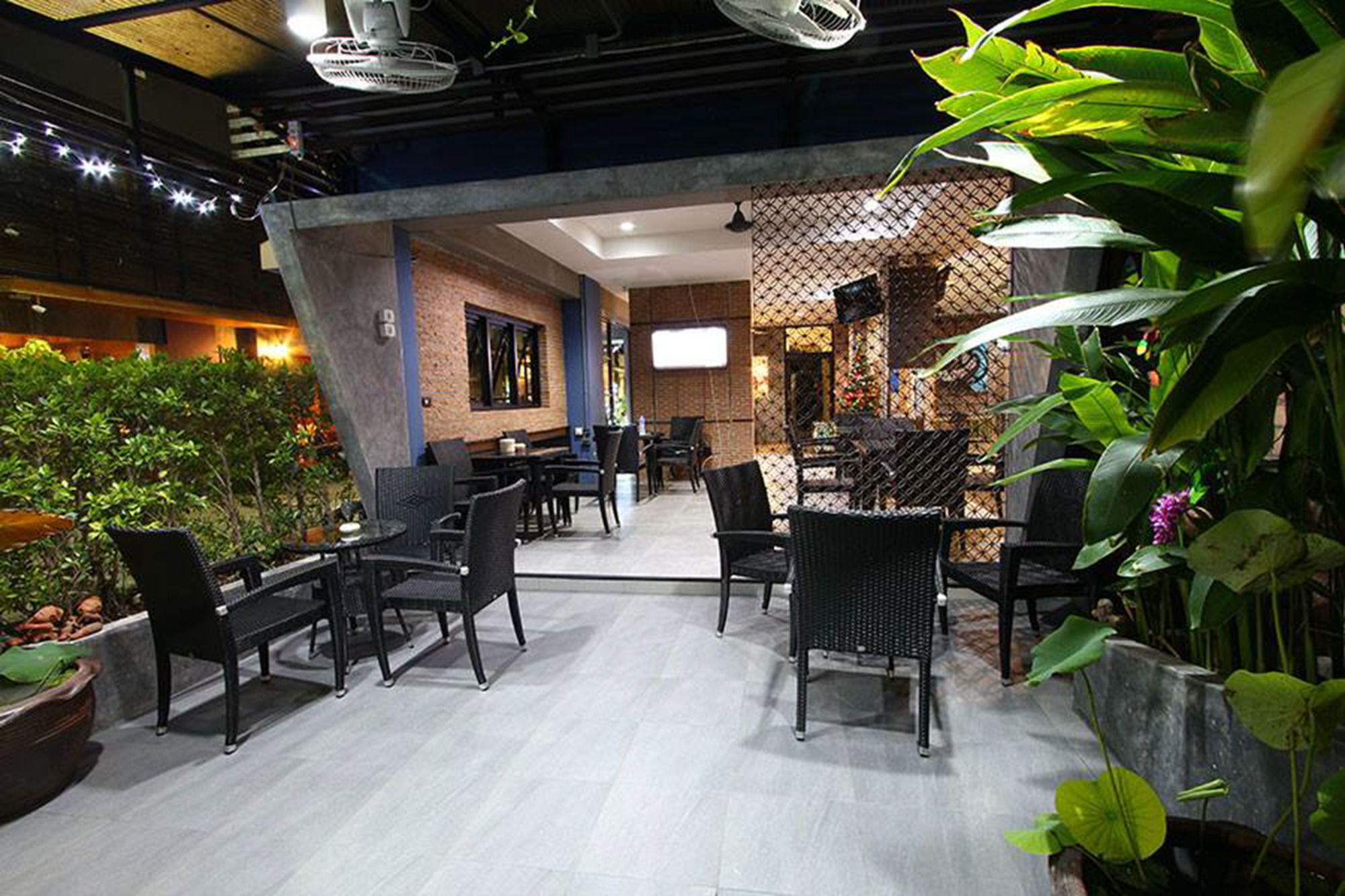 Night Star Patong