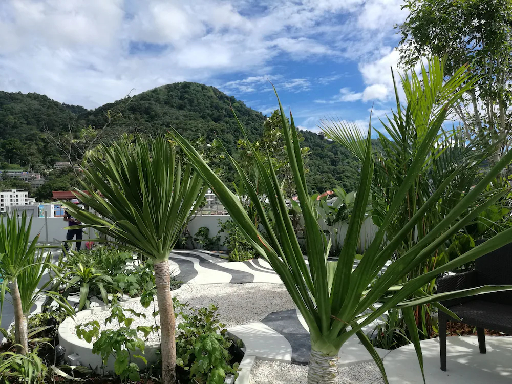 Journey Express Phuket