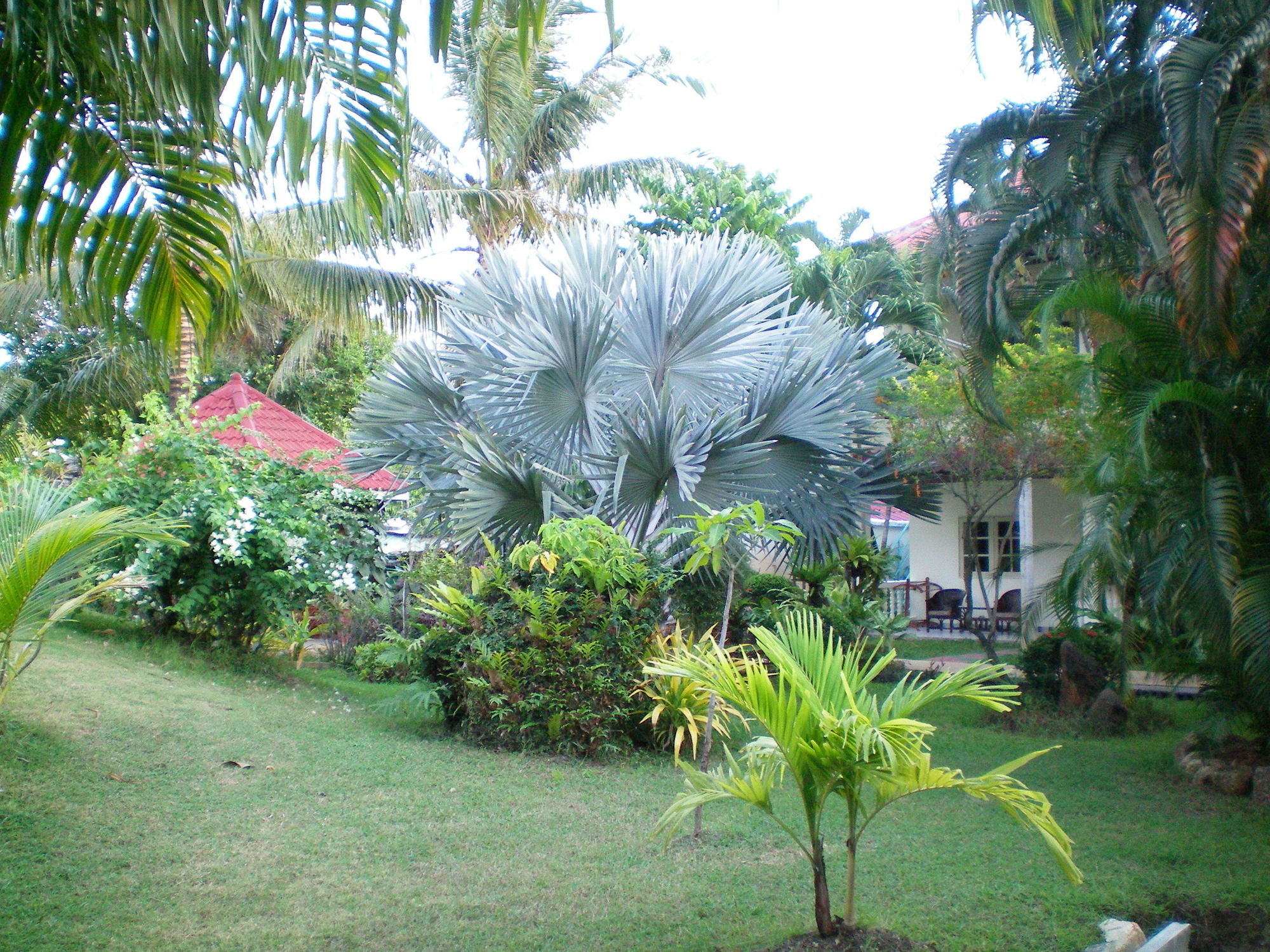 Patong Palace