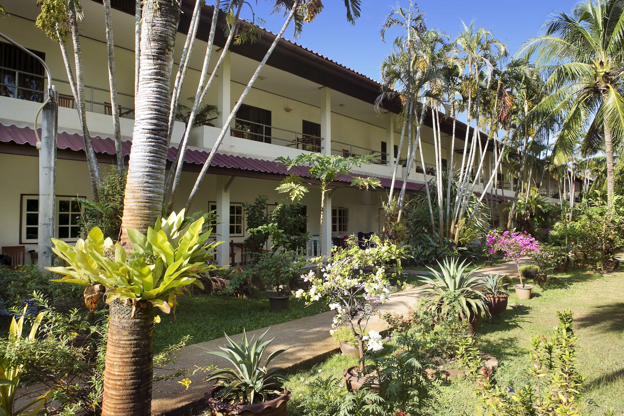 Patong Palace