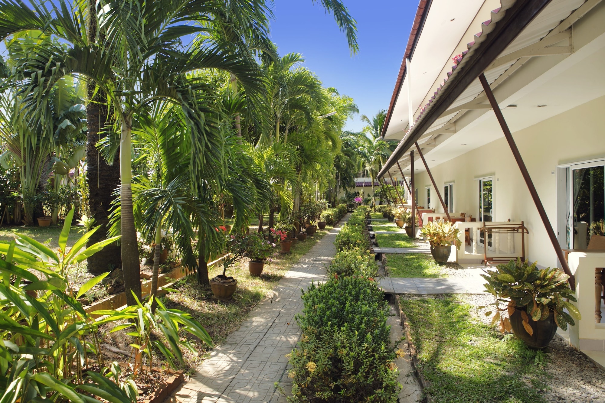 Patong Palace