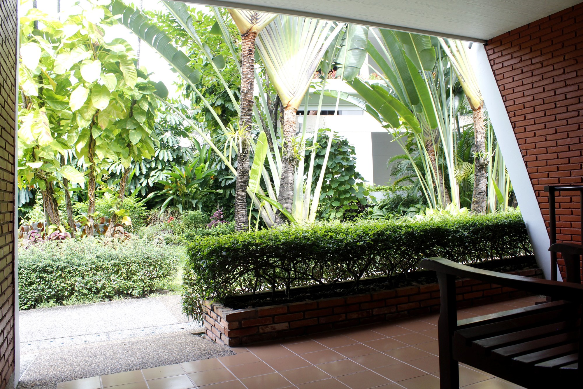 Patong Resort
