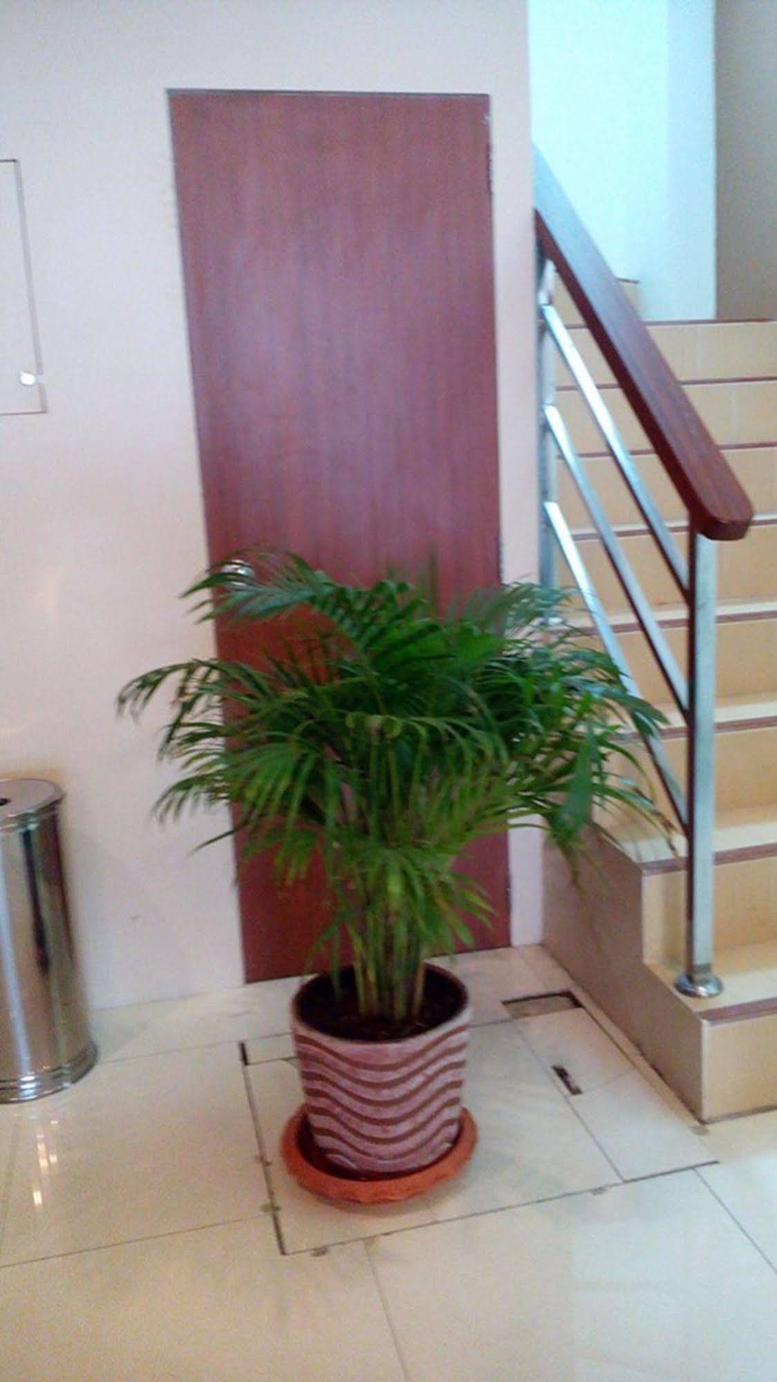 Phuket IYH Hostel