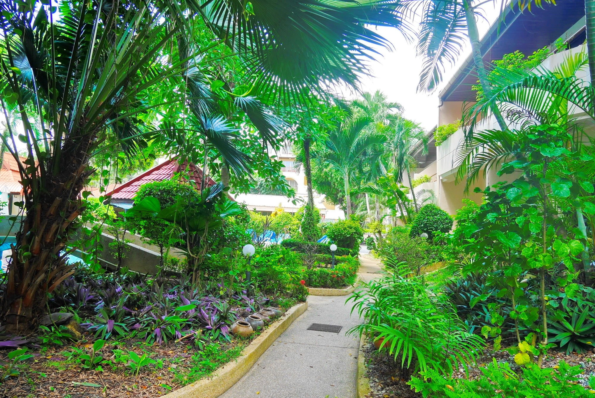 Swiss Palm Beach