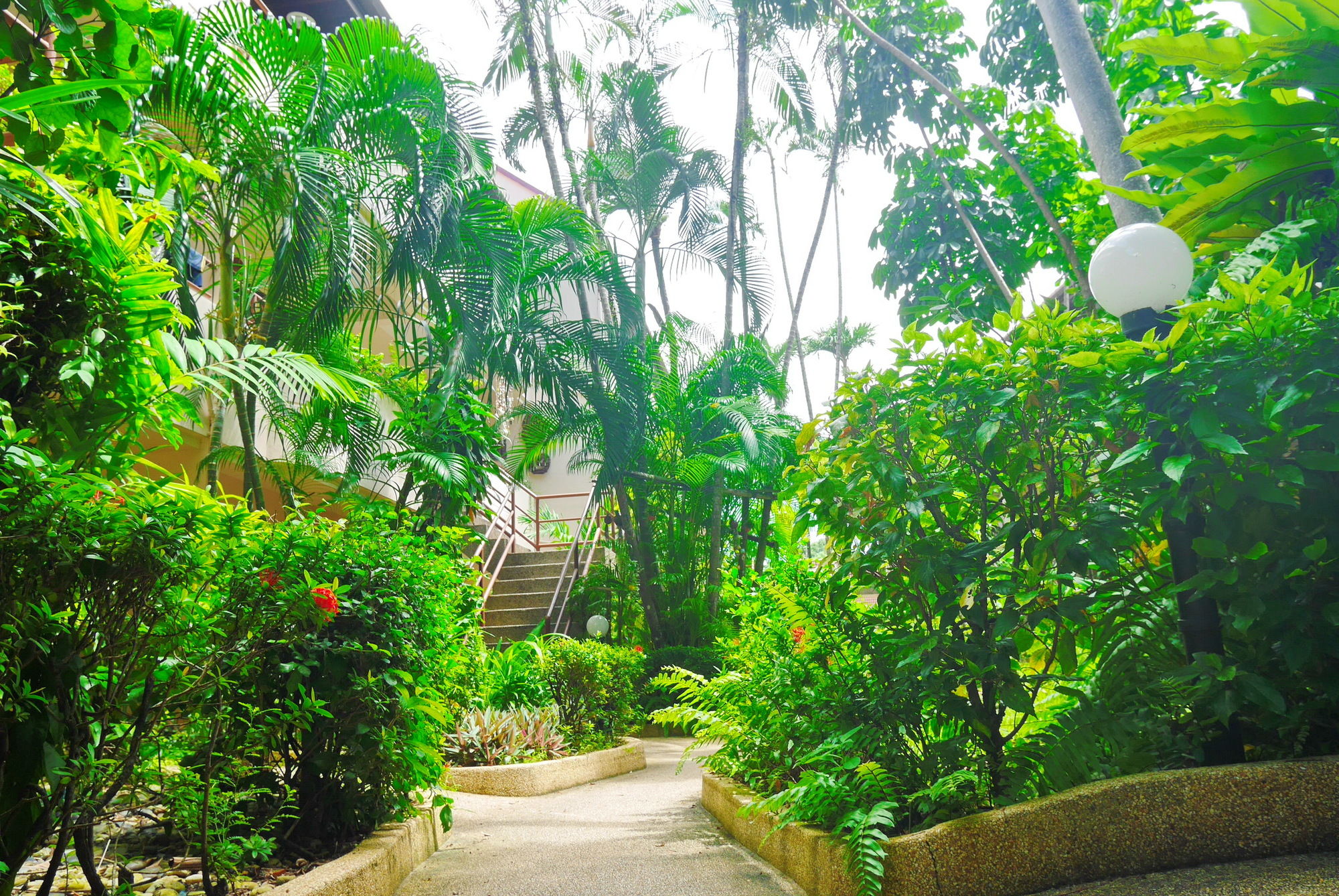 Swiss Palm Beach