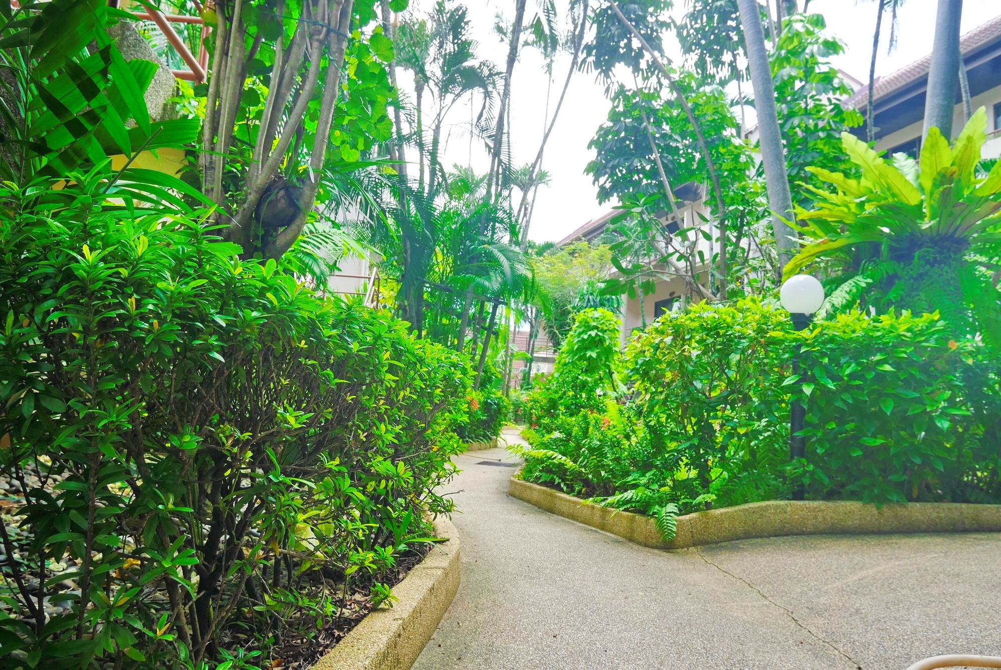 Swiss Palm Beach